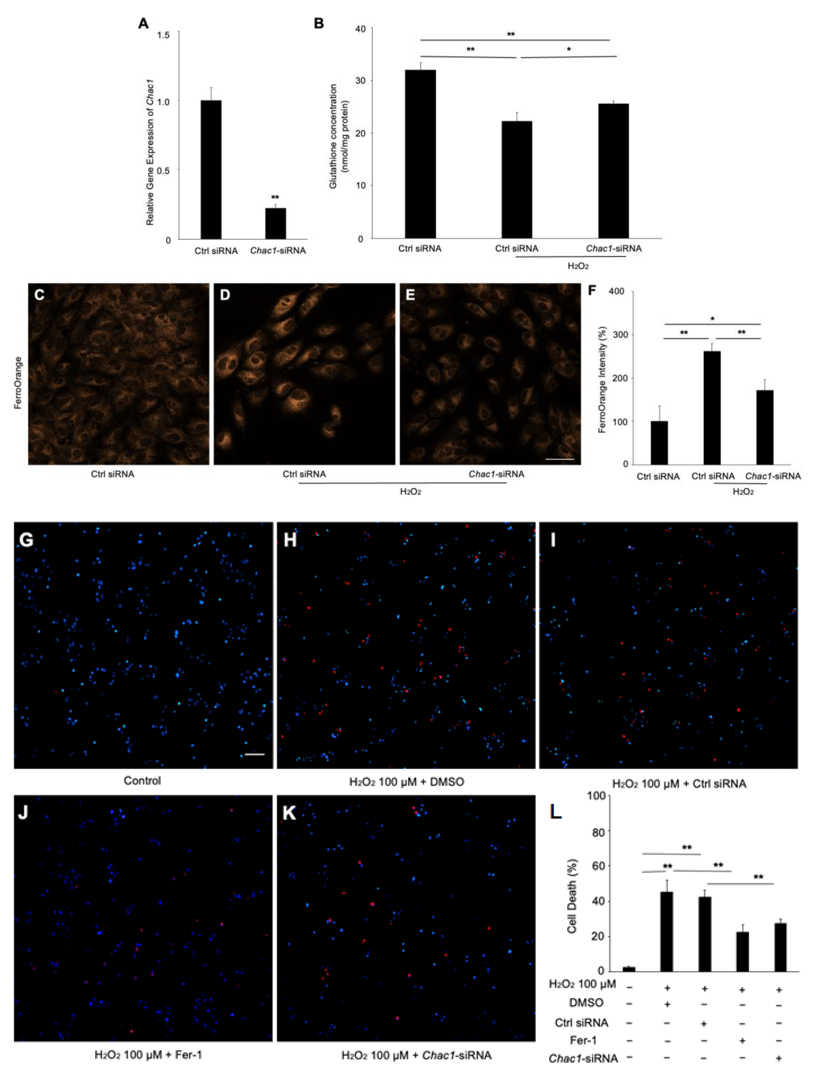 Ijms 24 01582 g006 Ijms 24 01582 g006