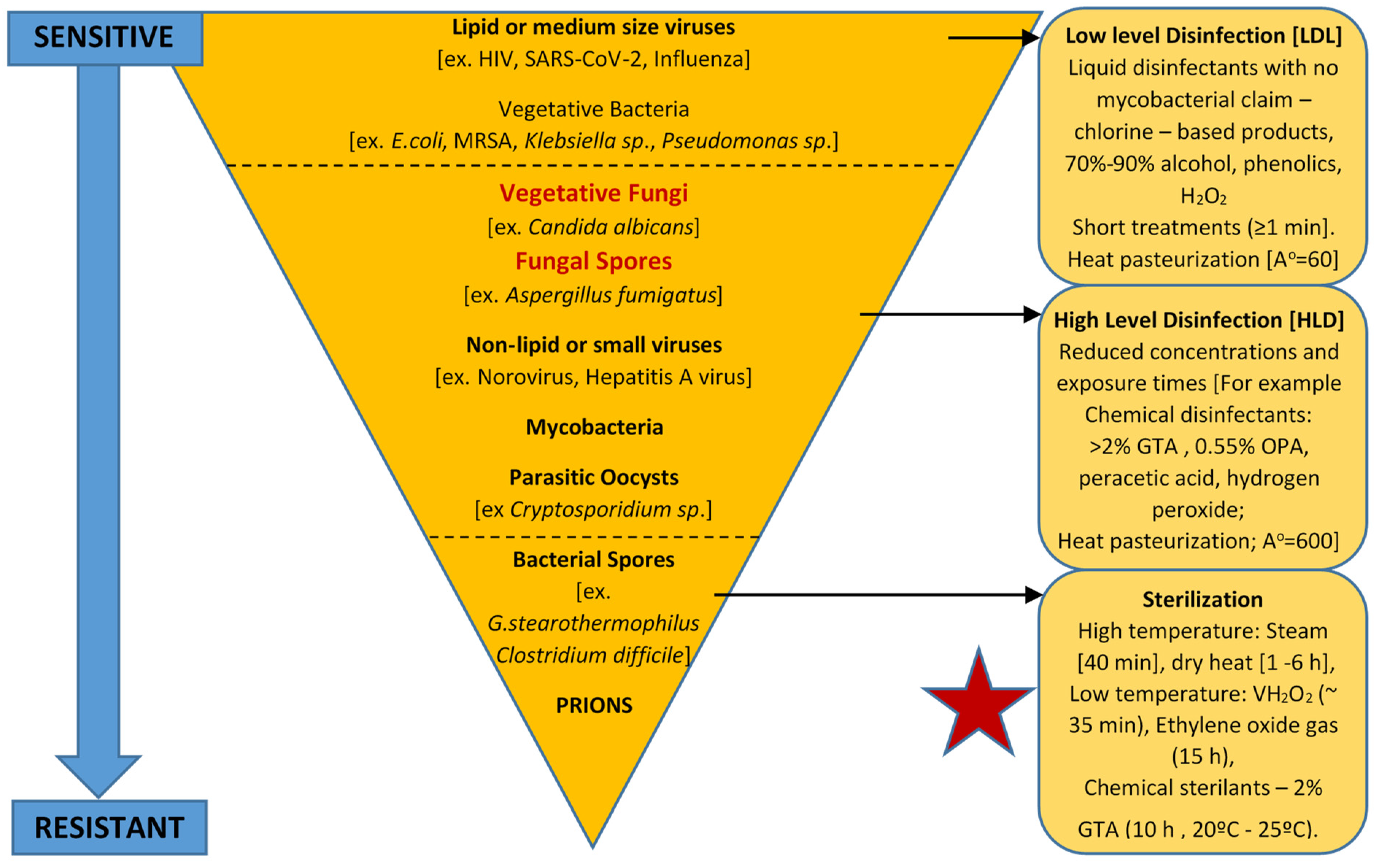 Ijms 24 01584 g001 Ijms 24 01584 g001