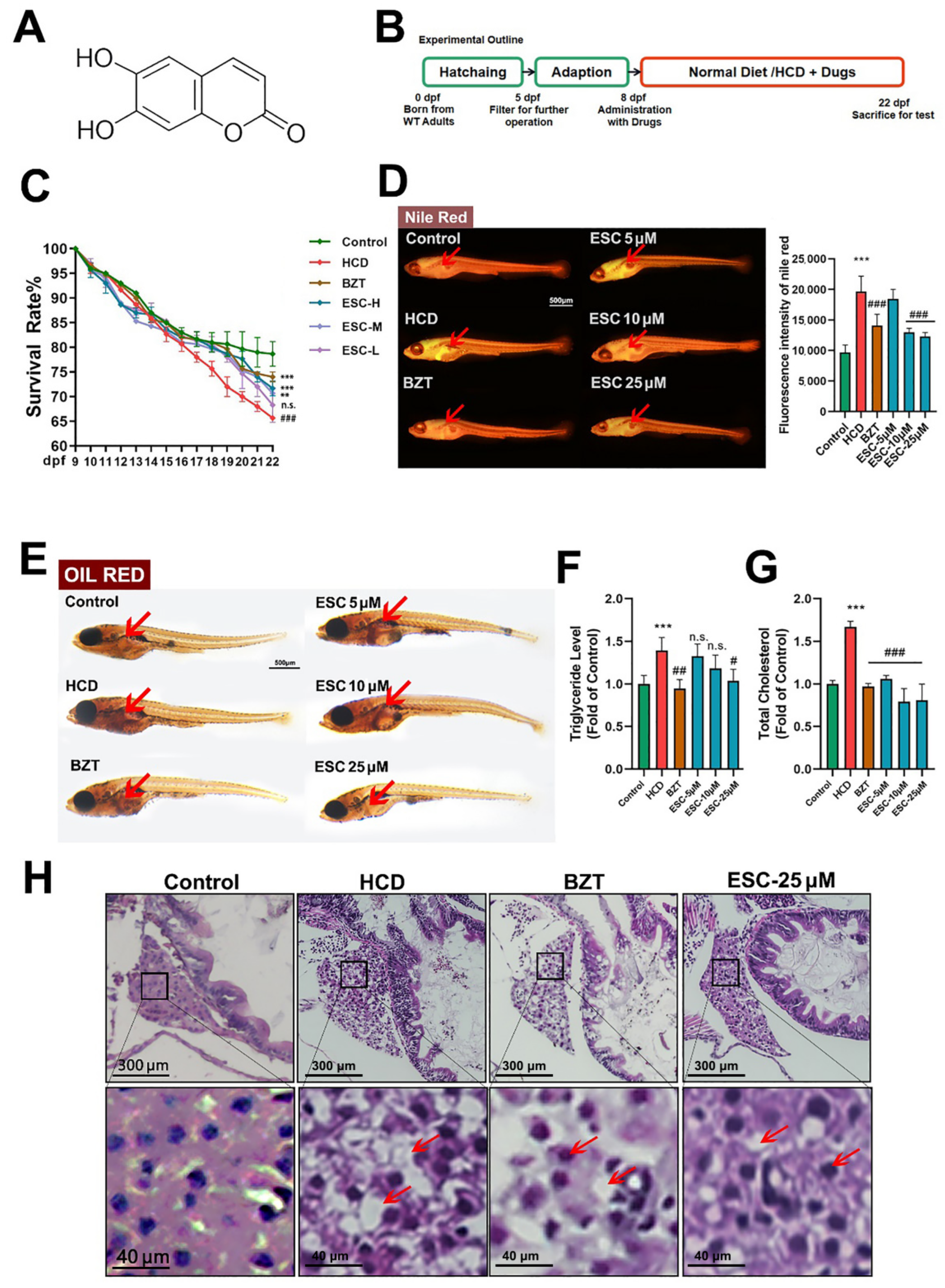 Ijms 24 01593 g001 Ijms 24 01593 g001