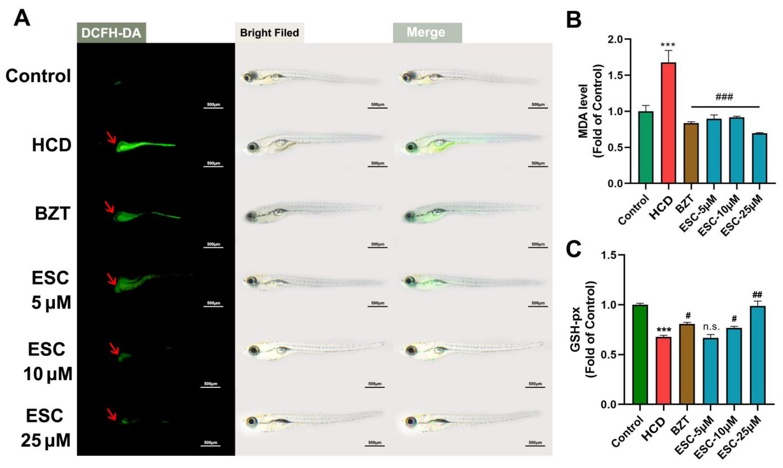 Ijms 24 01593 g002 Ijms 24 01593 g002