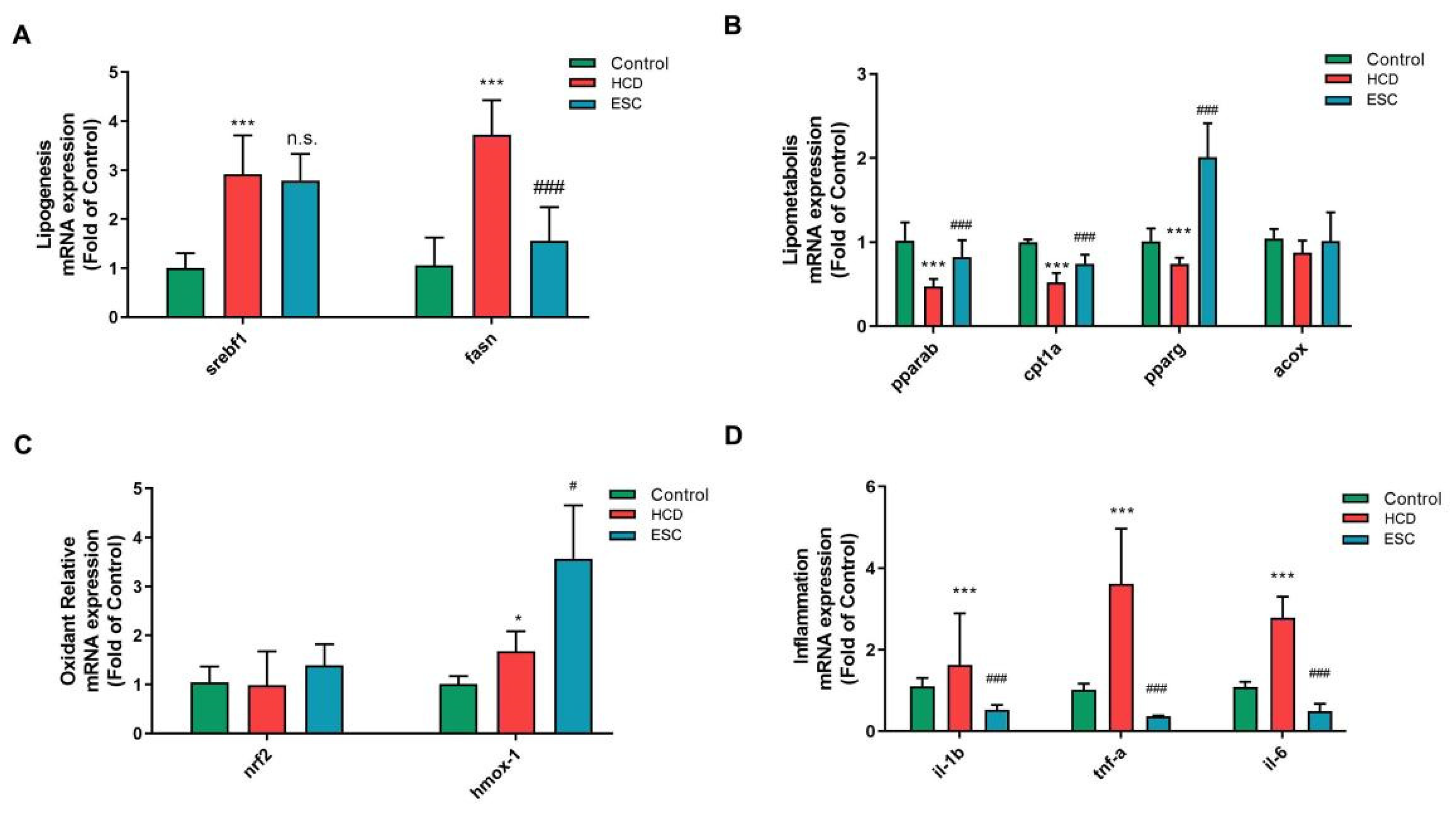 Ijms 24 01593 g003 Ijms 24 01593 g003