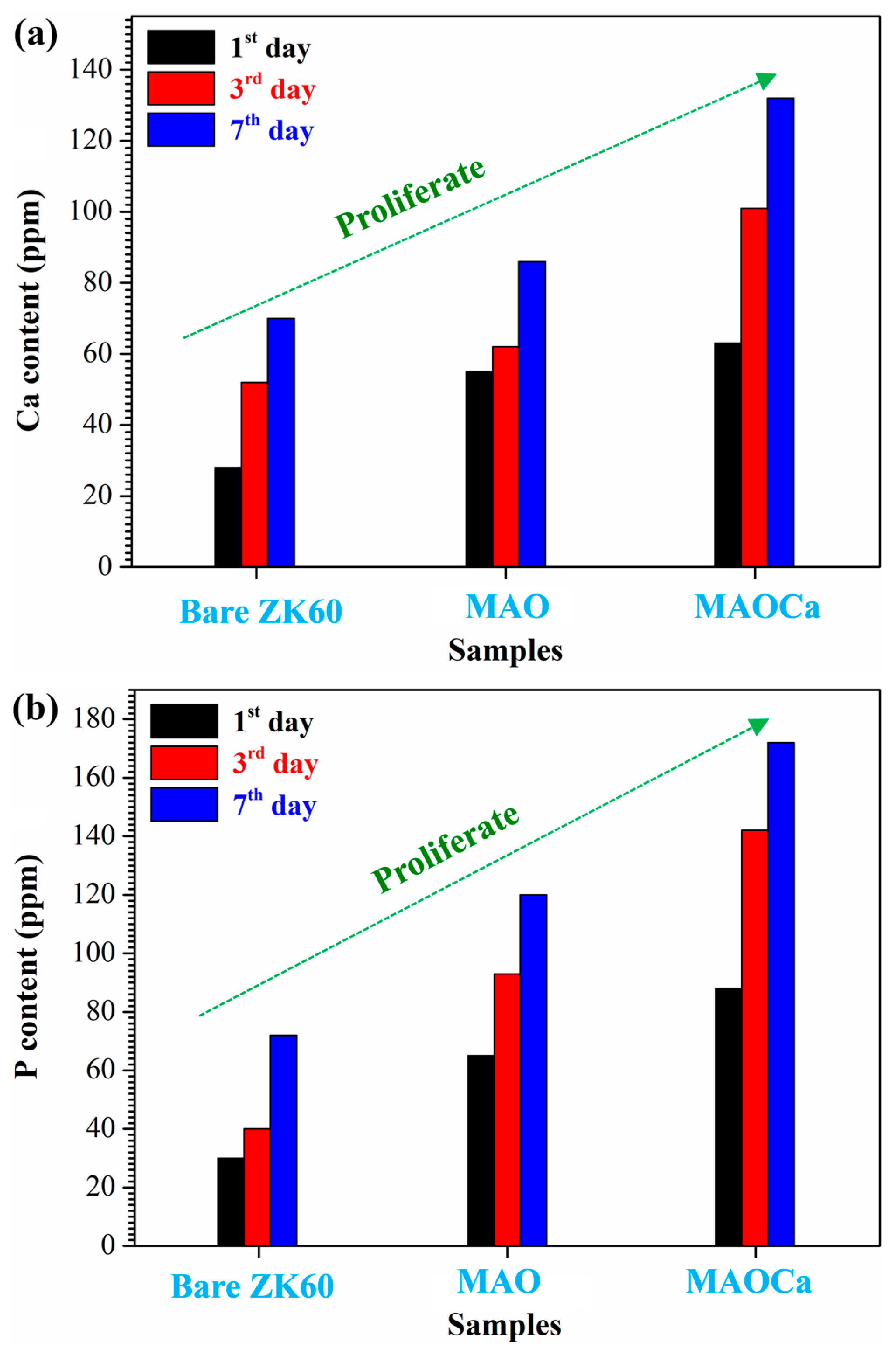 Ijms 24 01602 g012 Ijms 24 01602 g012