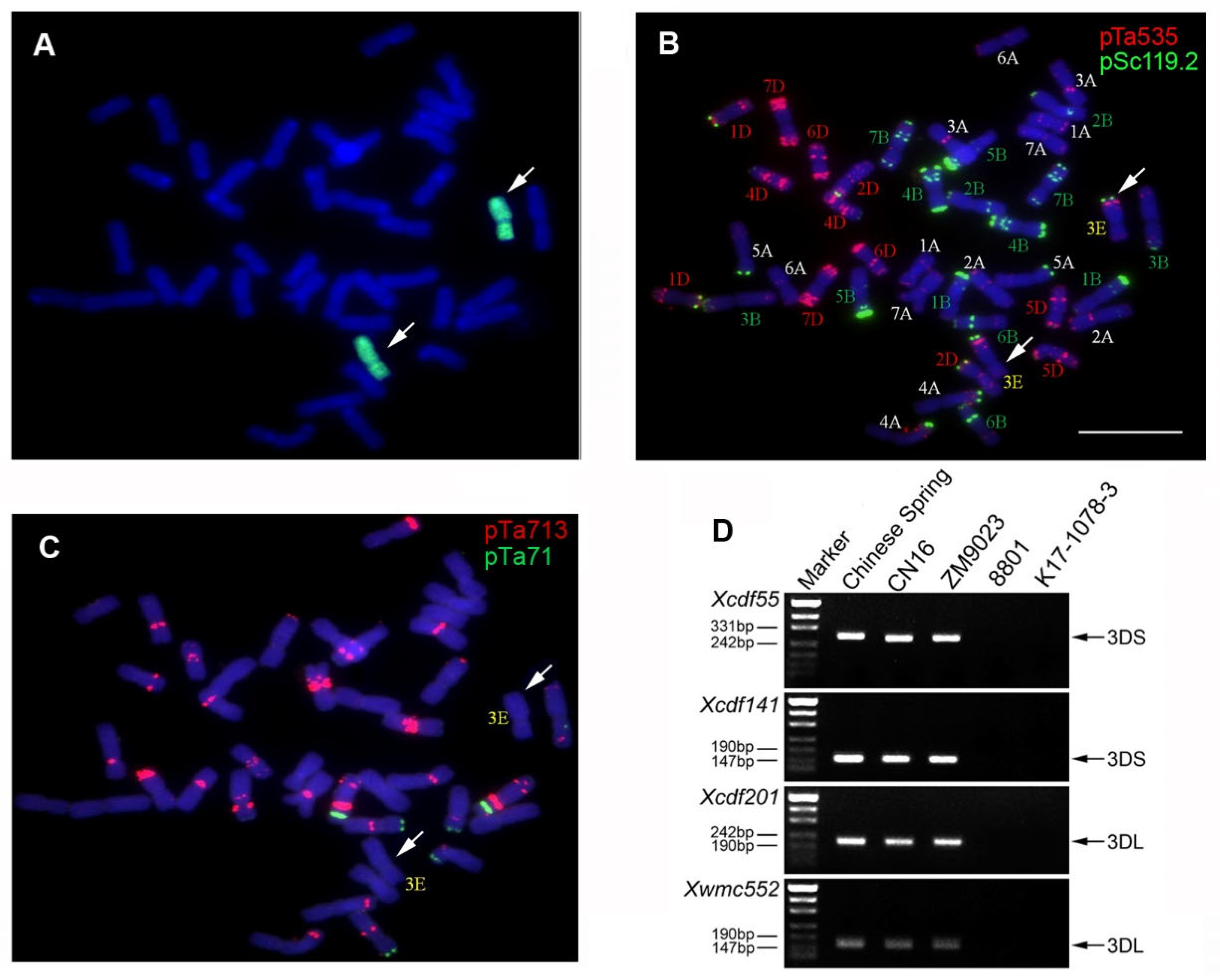 Ijms 24 01609 g001 Ijms 24 01609 g001