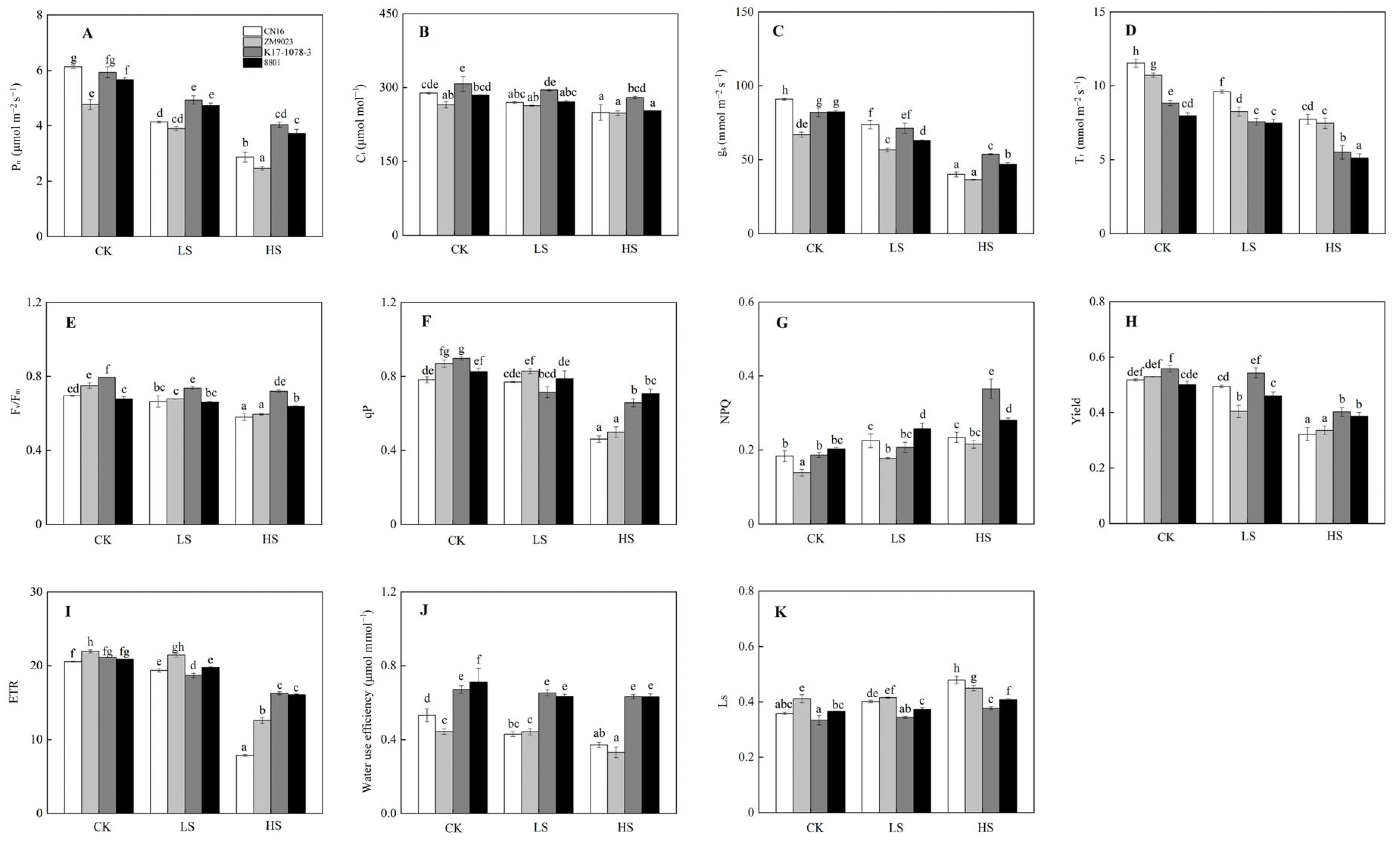 Ijms 24 01609 g003 Ijms 24 01609 g003