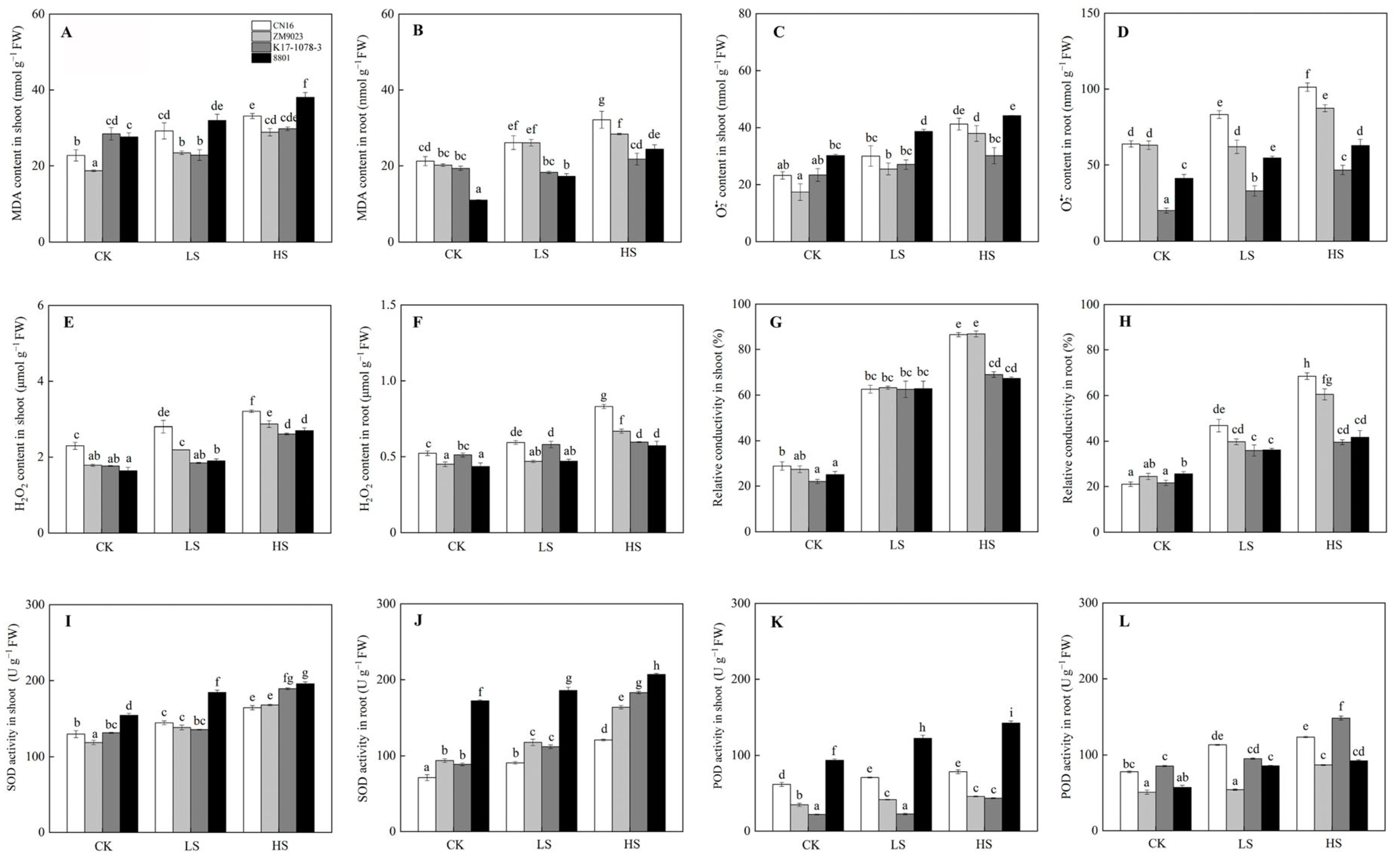 Ijms 24 01609 g005 Ijms 24 01609 g005