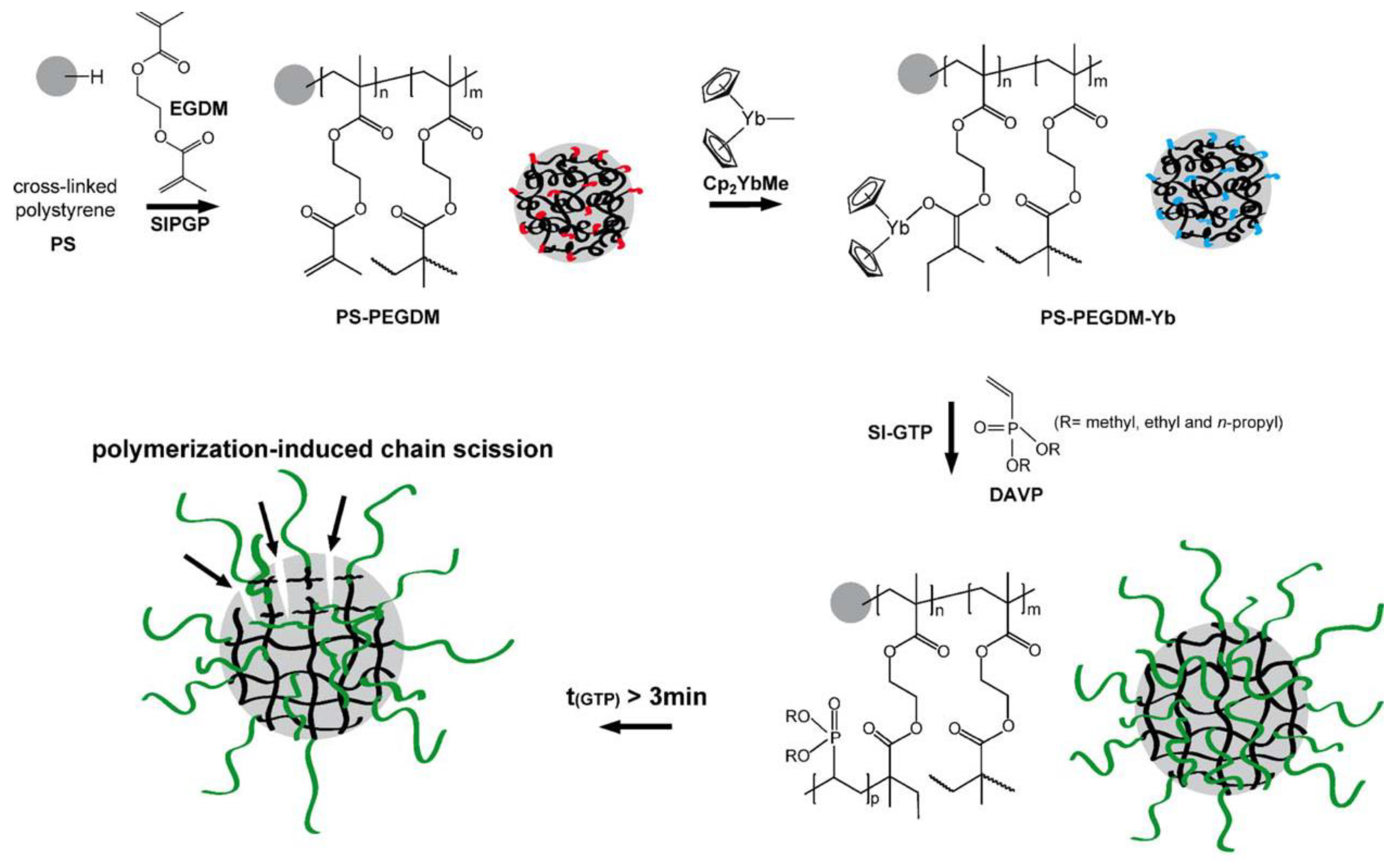 Ijms 24 01613 g003 Ijms 24 01613 g003