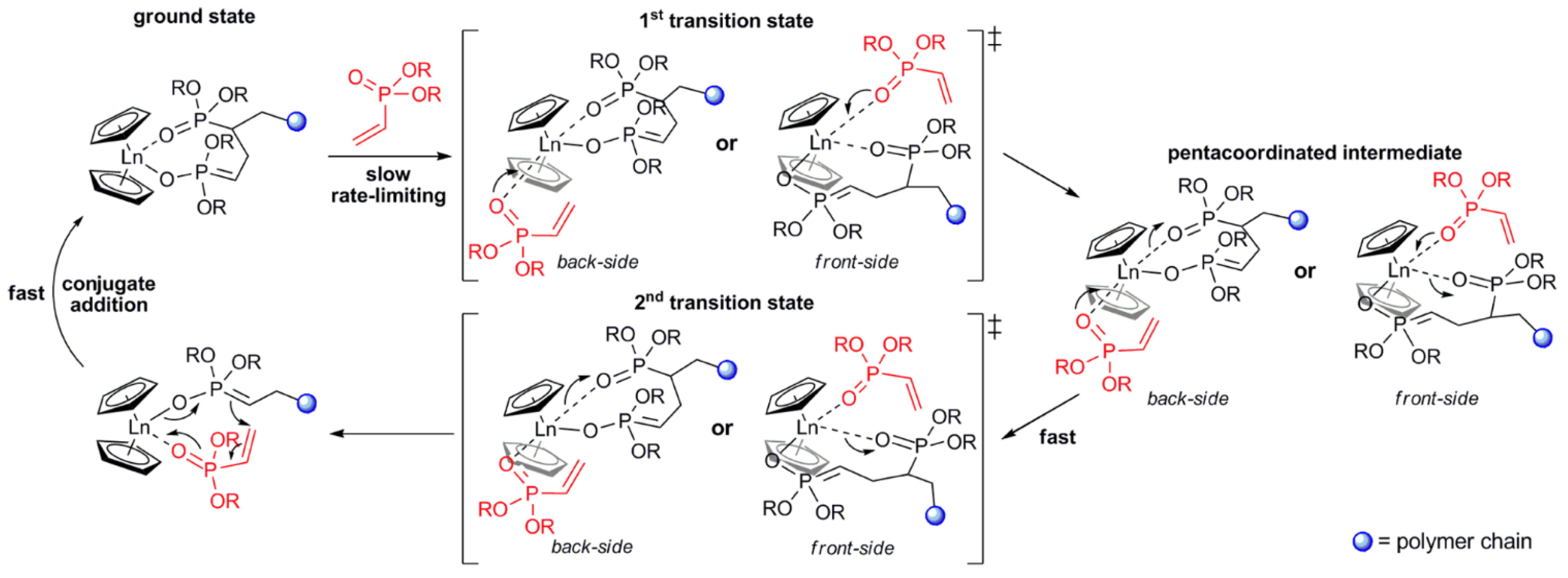 Ijms 24 01613 g004 Ijms 24 01613 g004