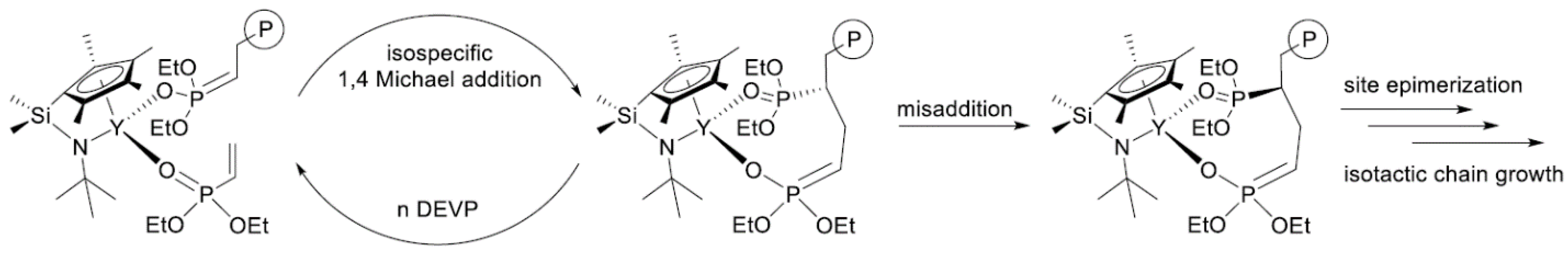 Ijms 24 01613 g006 Ijms 24 01613 g006