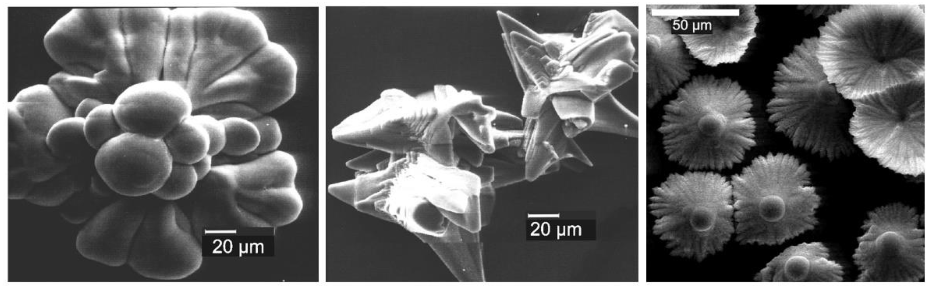 Ijms 24 01613 g009 Ijms 24 01613 g009