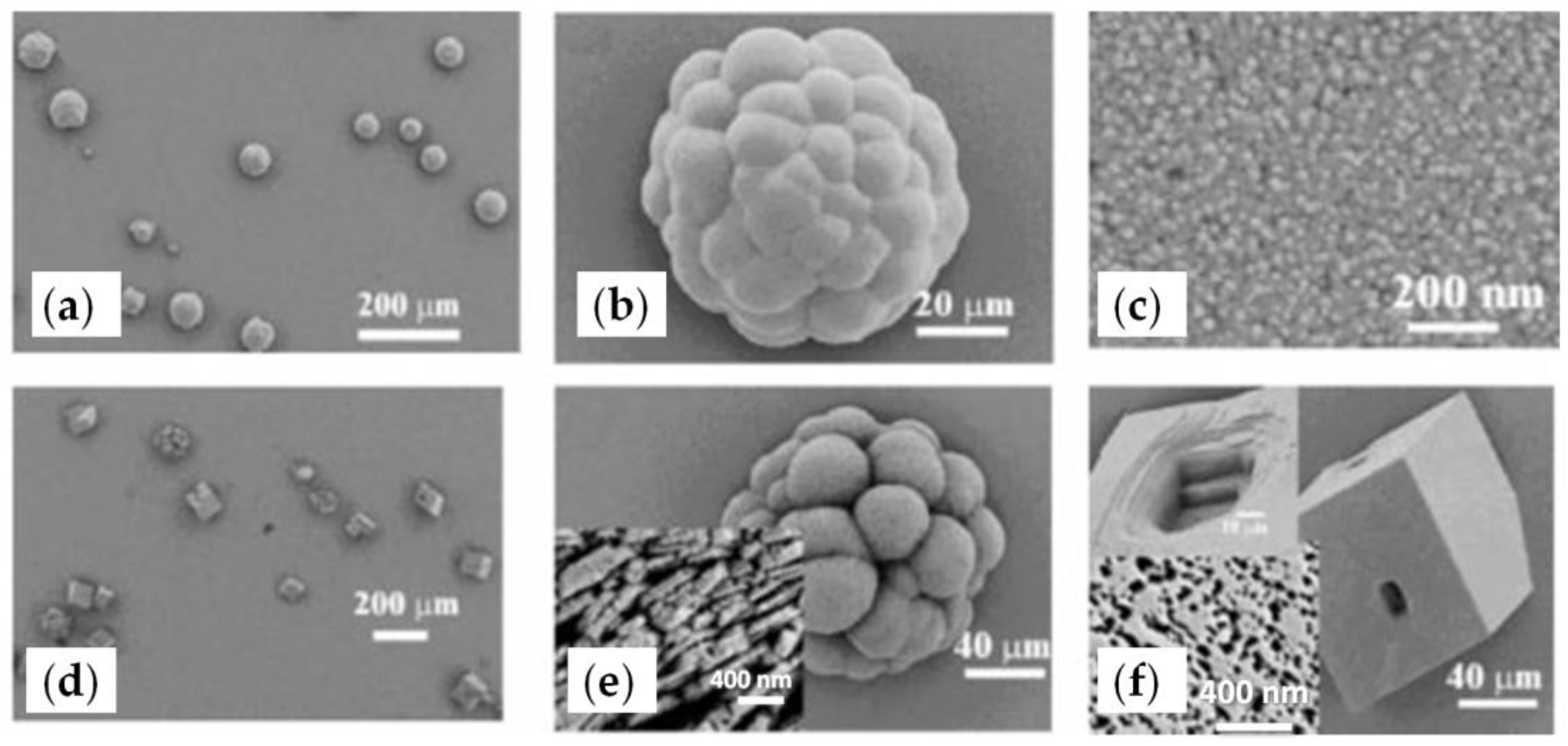 Ijms 24 01613 g010 Ijms 24 01613 g010