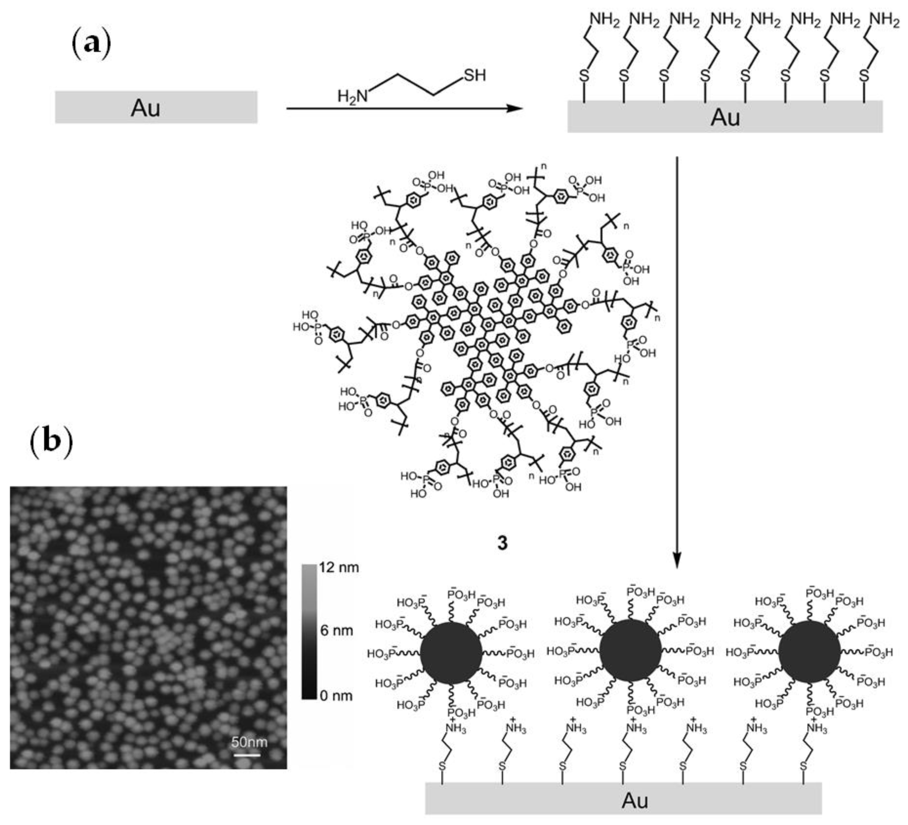 Ijms 24 01613 g011 Ijms 24 01613 g011