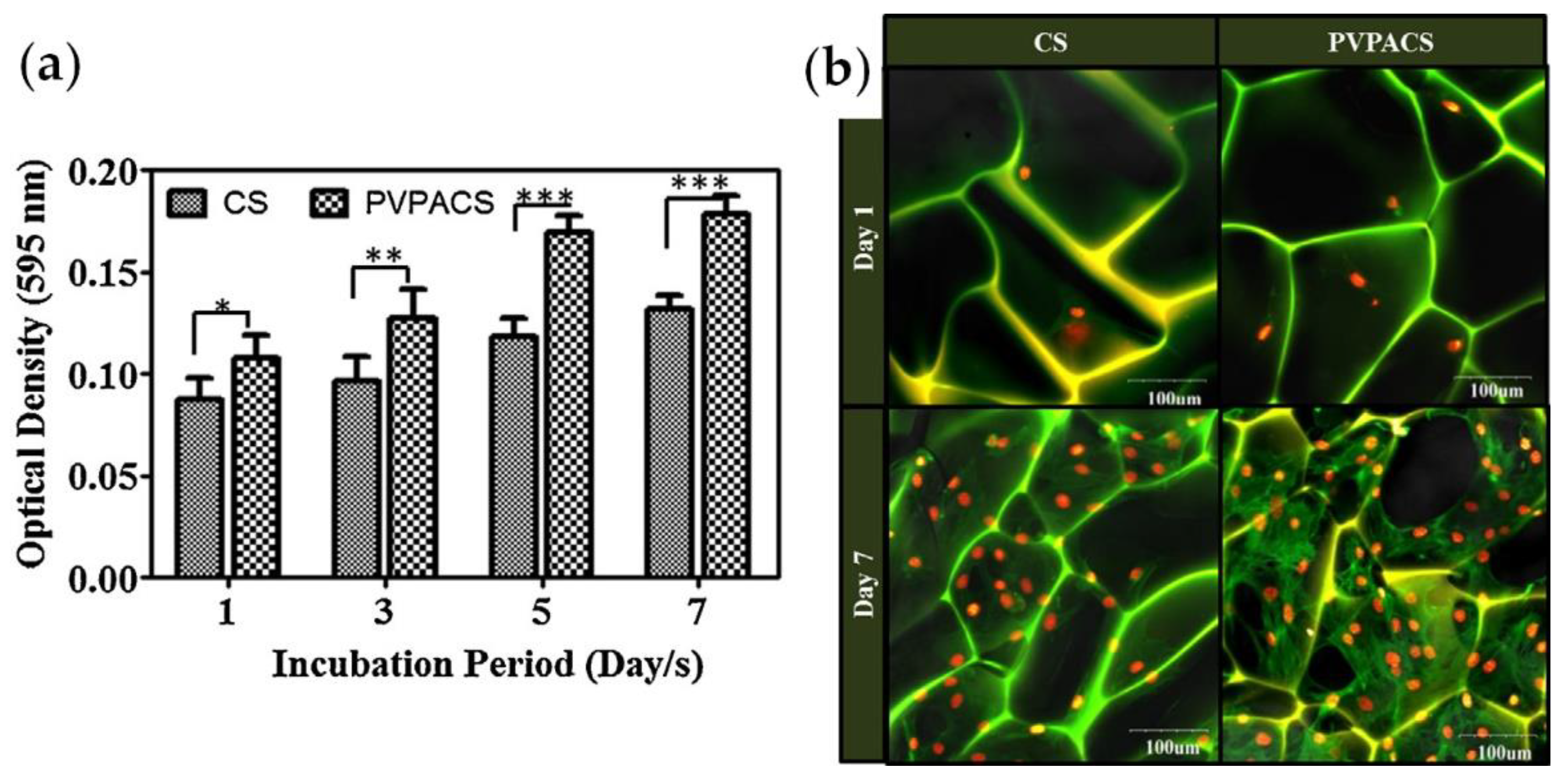 Ijms 24 01613 g013 Ijms 24 01613 g013