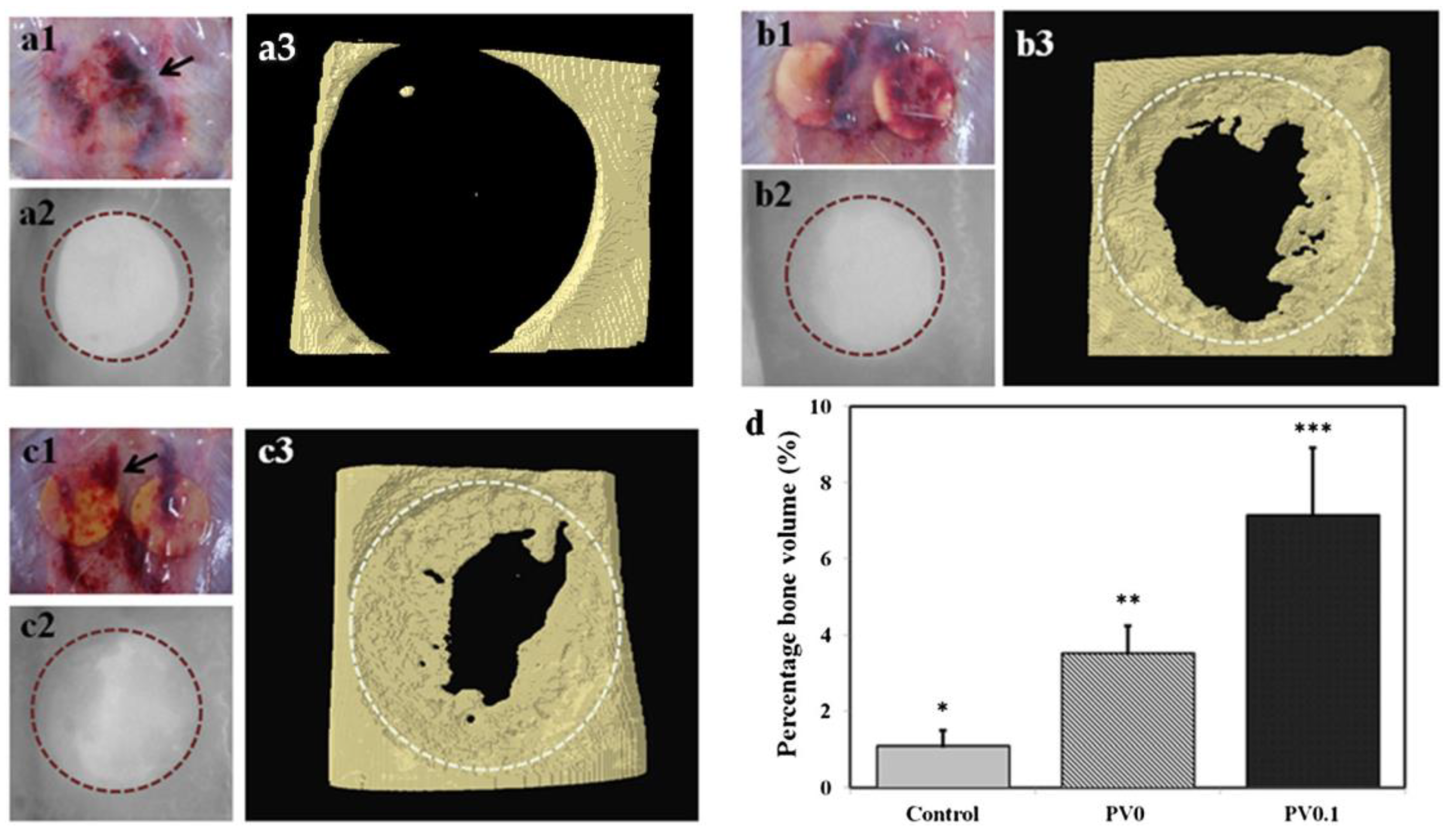 Ijms 24 01613 g014 Ijms 24 01613 g014