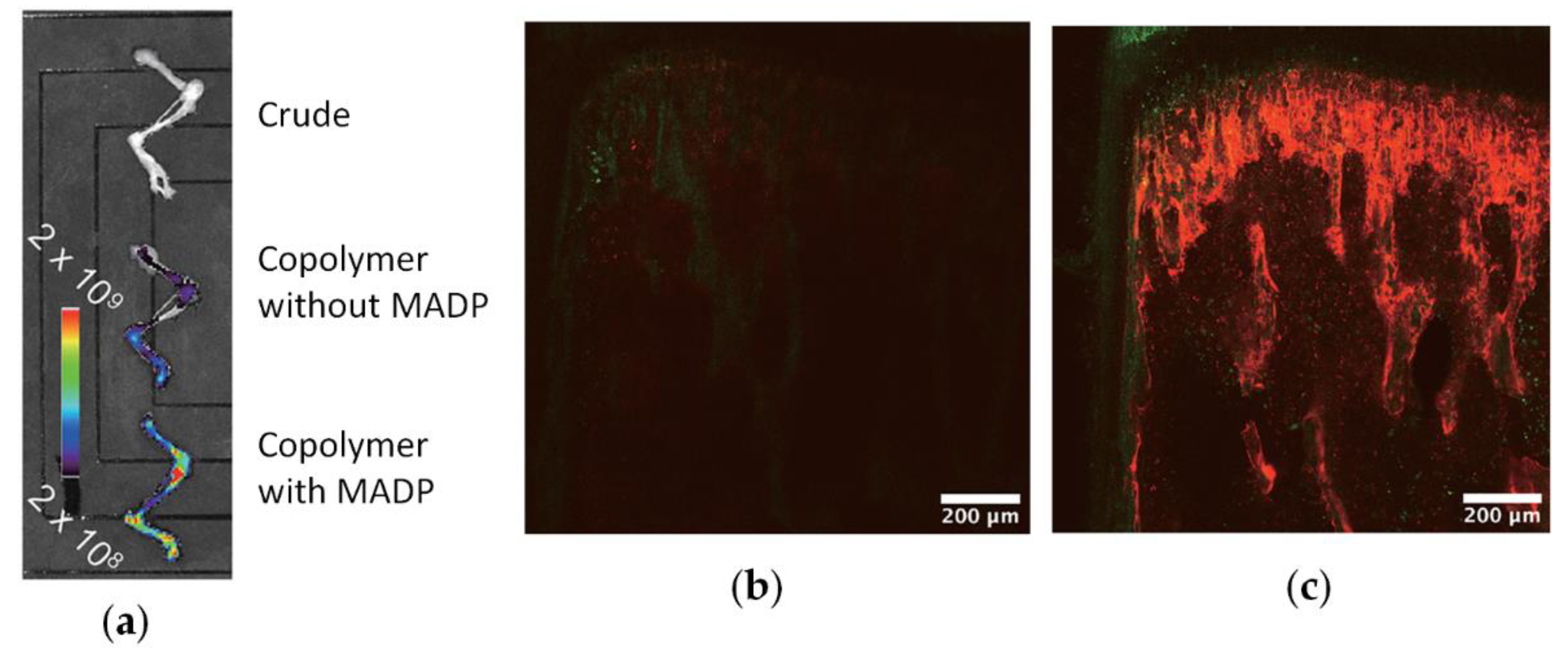 Ijms 24 01613 g018 Ijms 24 01613 g018