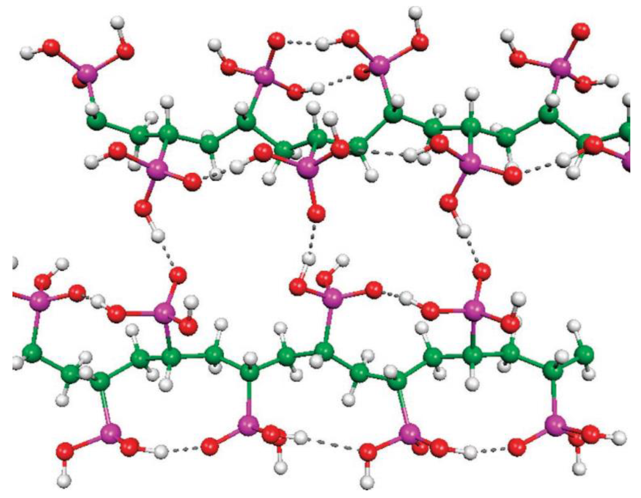 Ijms 24 01613 g019 Ijms 24 01613 g019