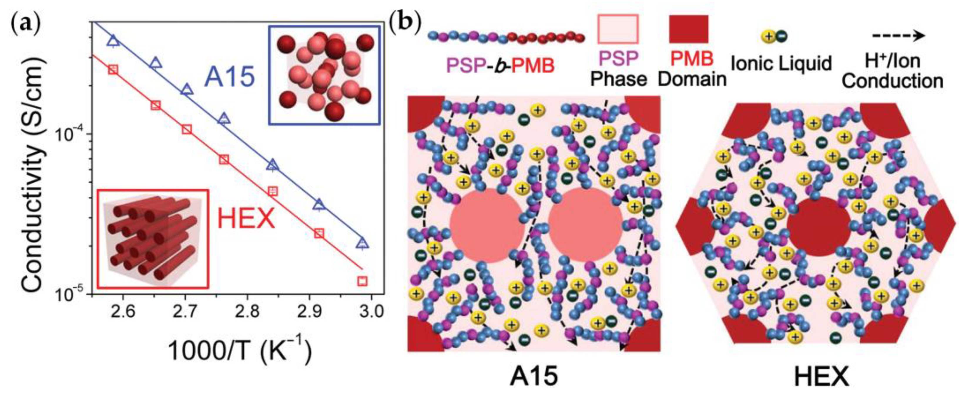 Ijms 24 01613 g020 Ijms 24 01613 g020