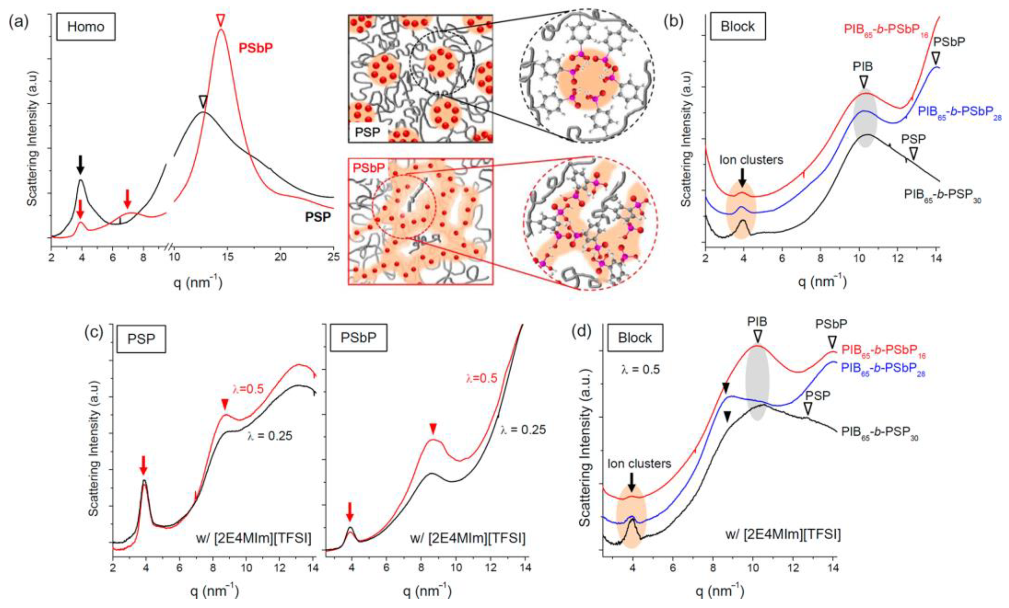 Ijms 24 01613 g021 Ijms 24 01613 g021