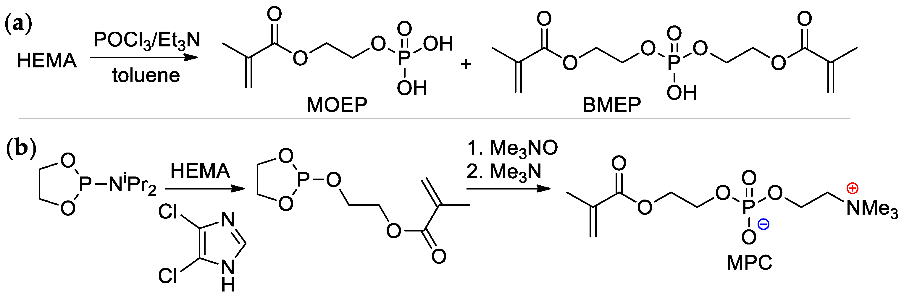 Ijms 24 01613 sch004 Ijms 24 01613 sch004