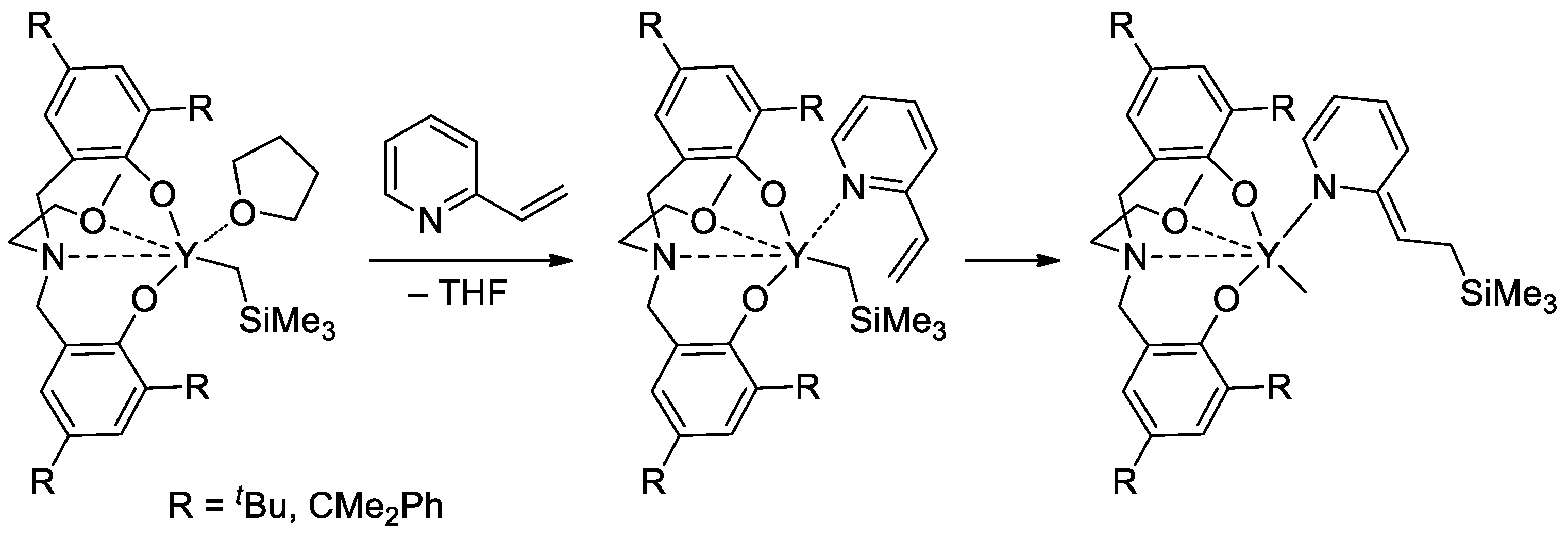 Ijms 24 01613 sch019 Ijms 24 01613 sch019