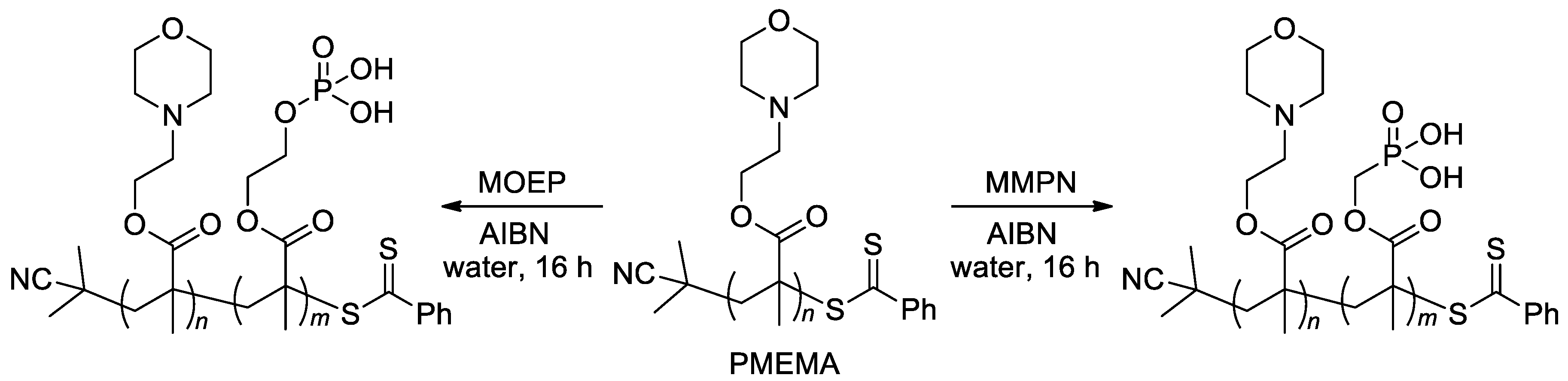 Ijms 24 01613 sch023 Ijms 24 01613 sch023