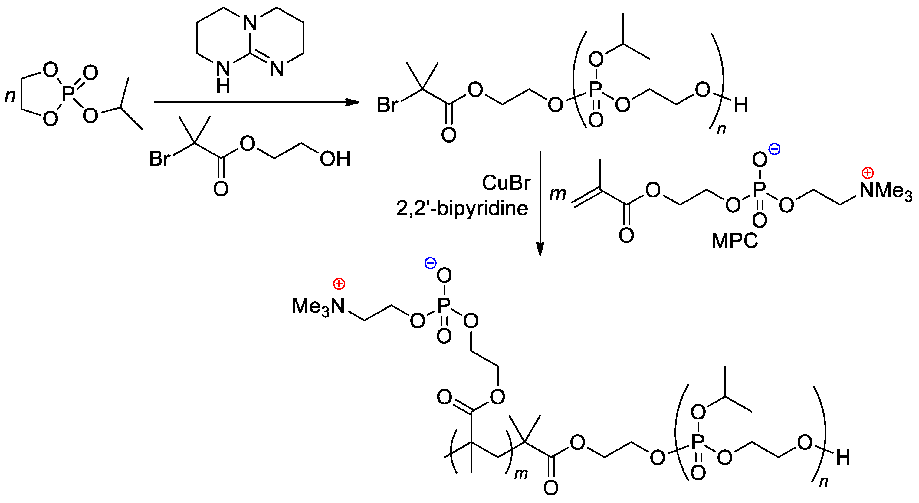 Ijms 24 01613 sch025 Ijms 24 01613 sch025