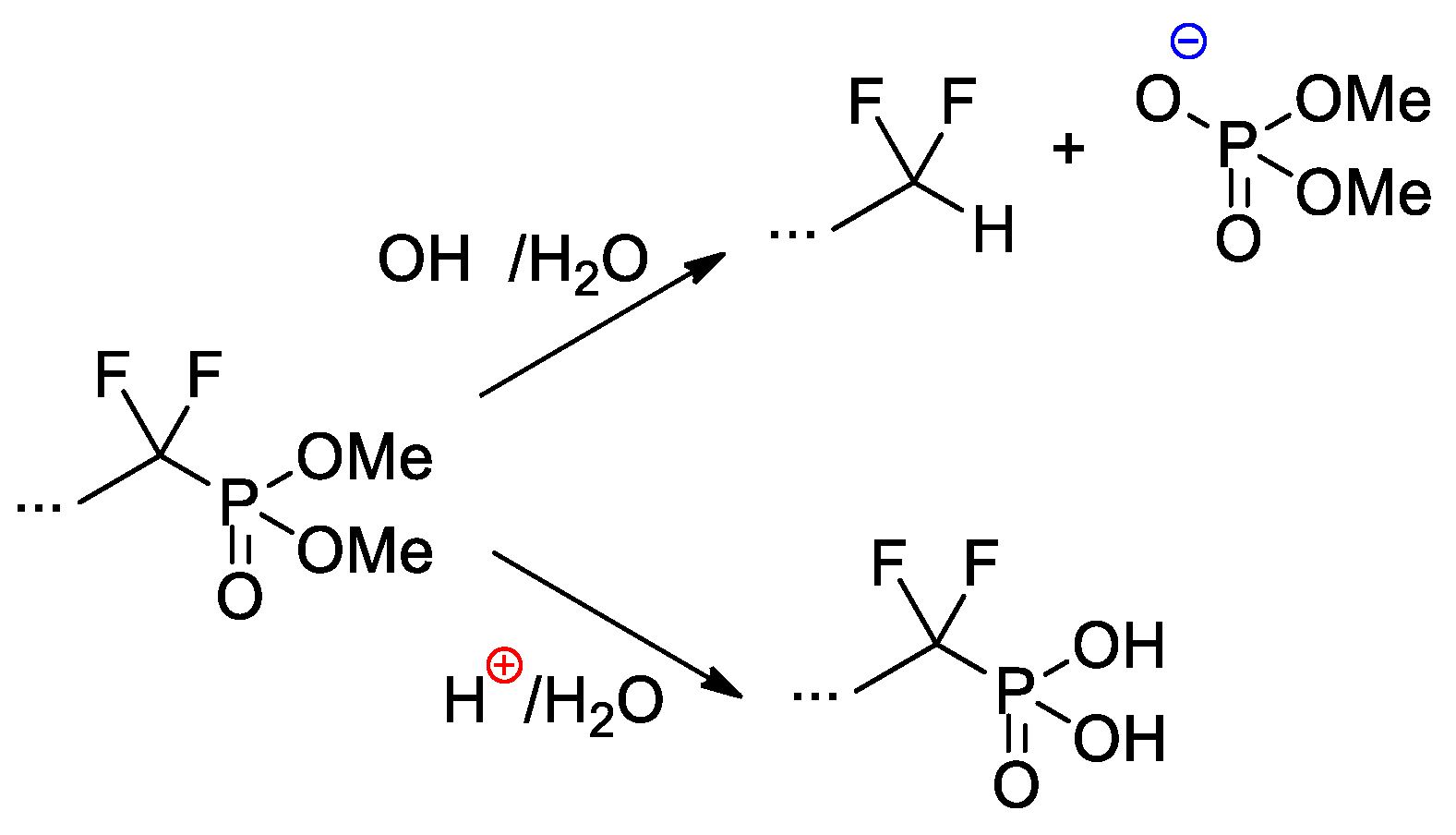 Ijms 24 01613 sch027 Ijms 24 01613 sch027