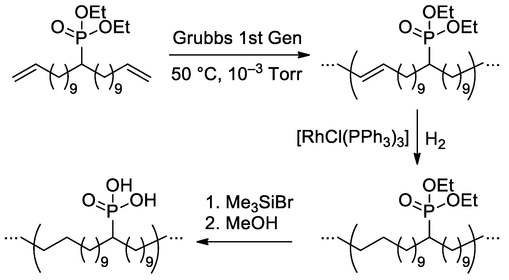 Ijms 24 01613 sch037 Ijms 24 01613 sch037