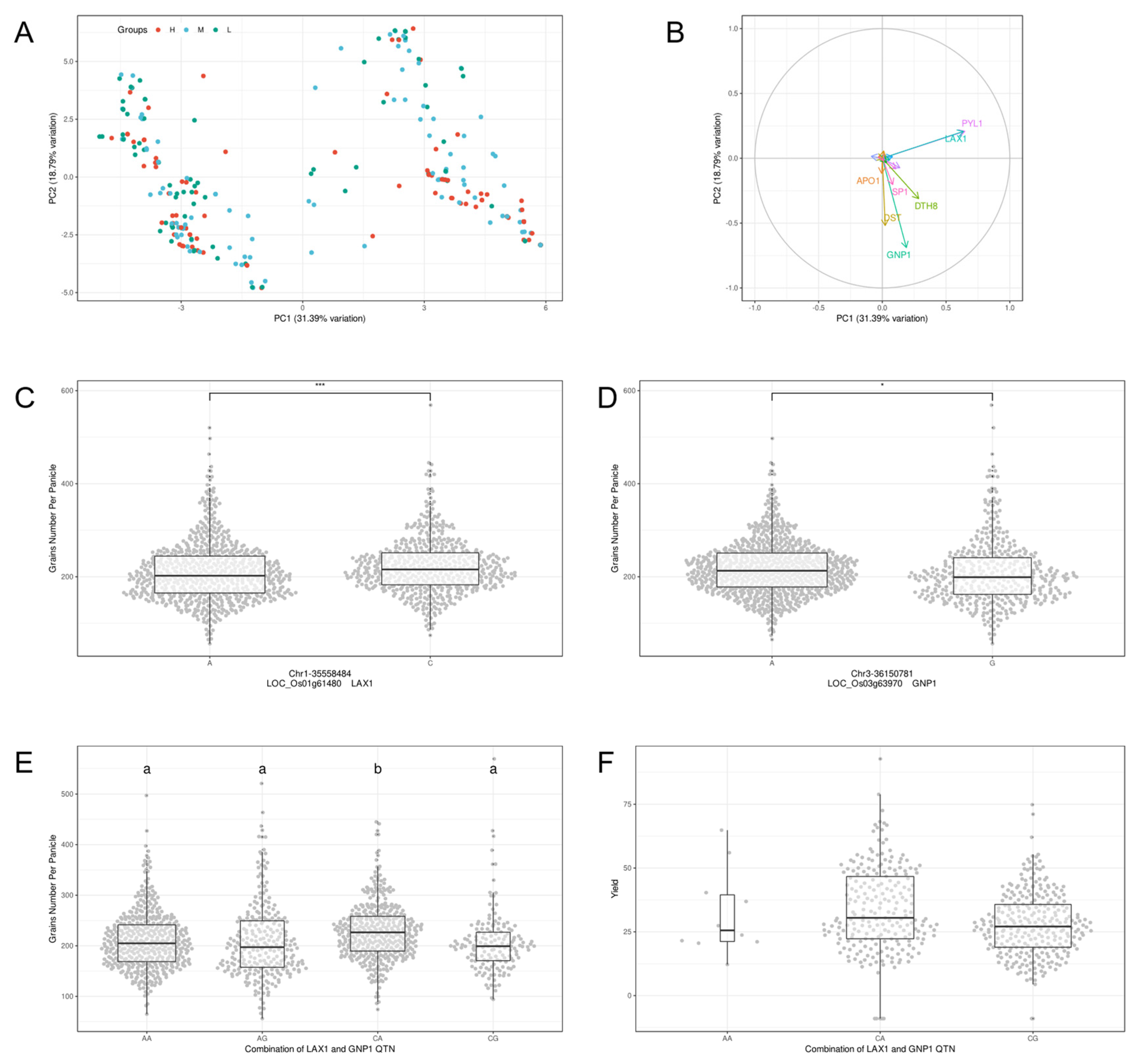 Ijms 24 01653 g002 Ijms 24 01653 g002