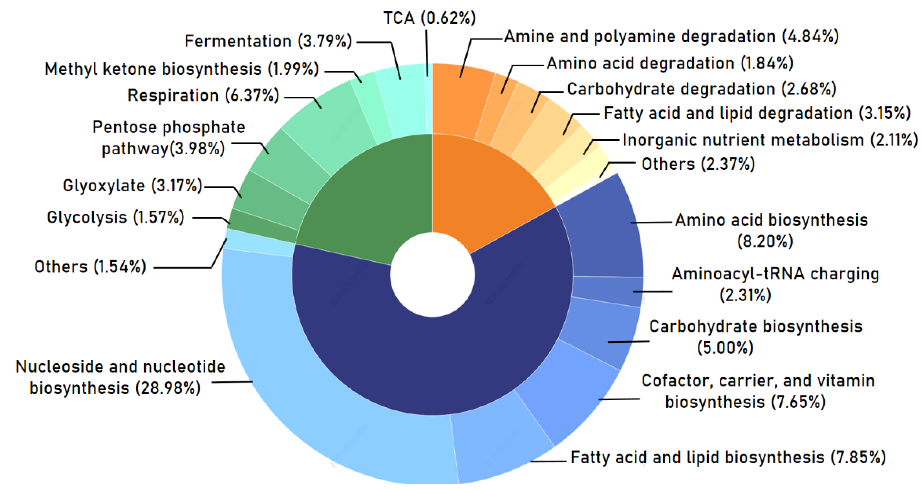 Ijms 24 01672 g004 Ijms 24 01672 g004