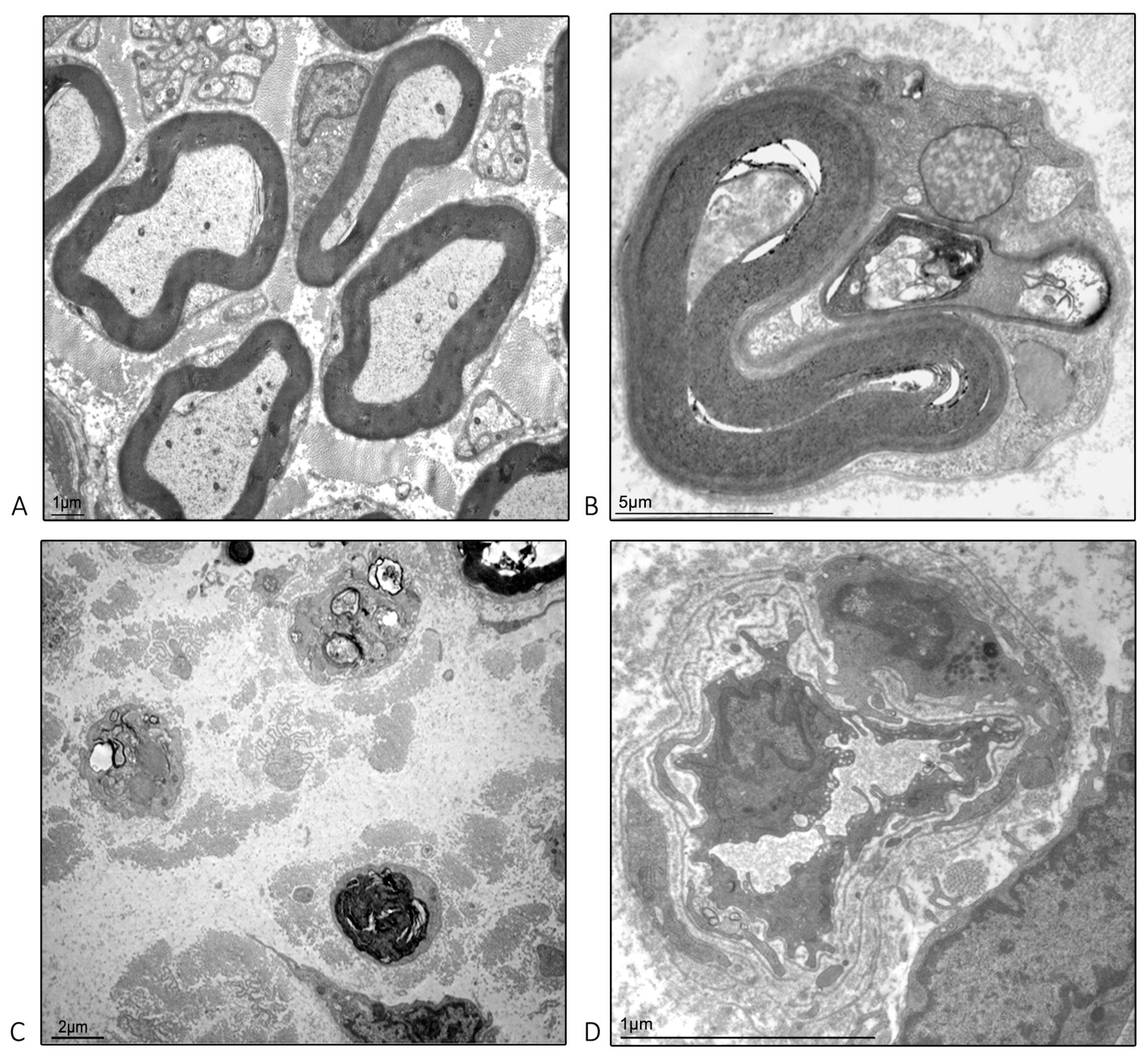 Ijms 24 01687 g006 Ijms 24 01687 g006