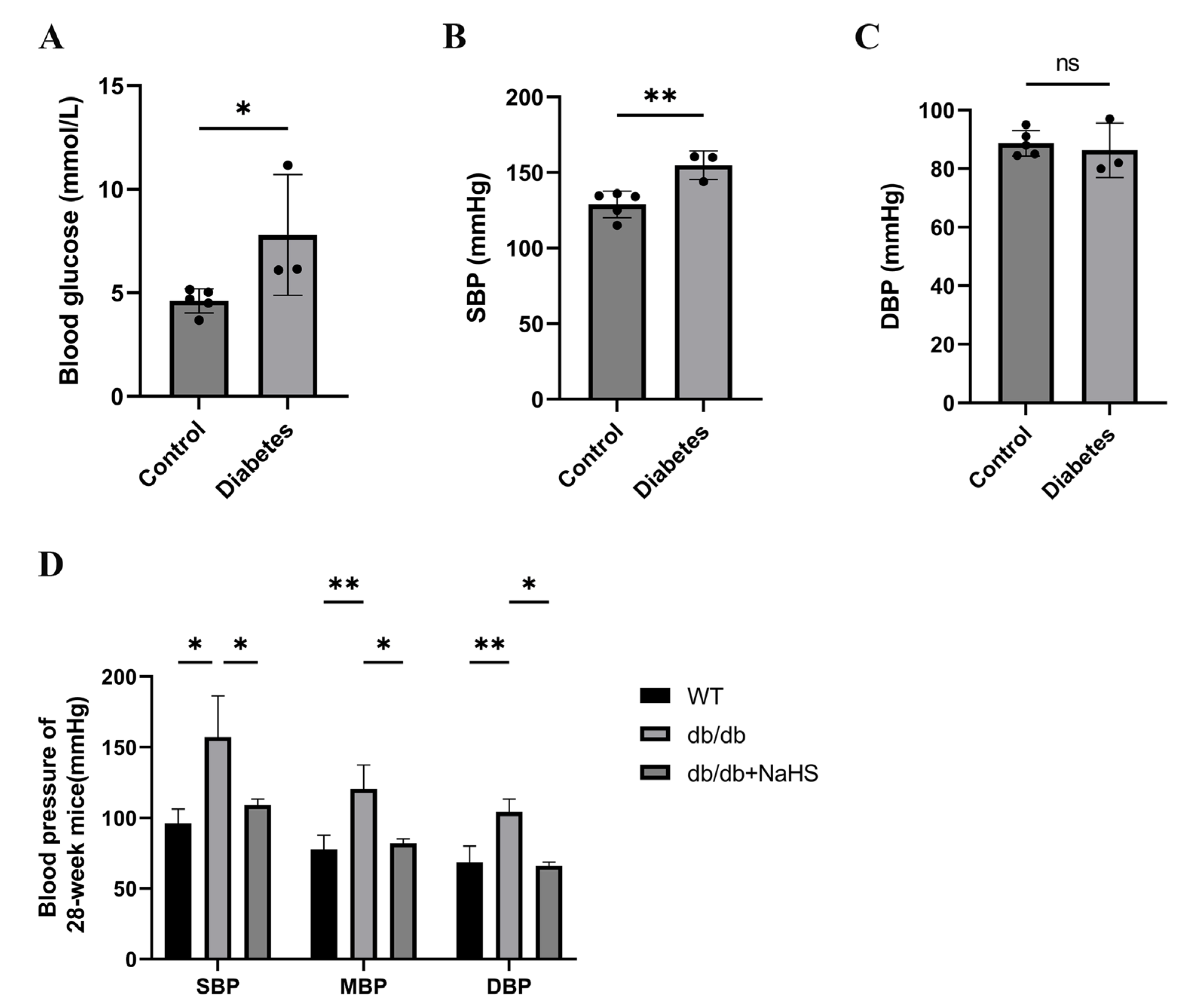 Ijms 24 01690 g001 Ijms 24 01690 g001
