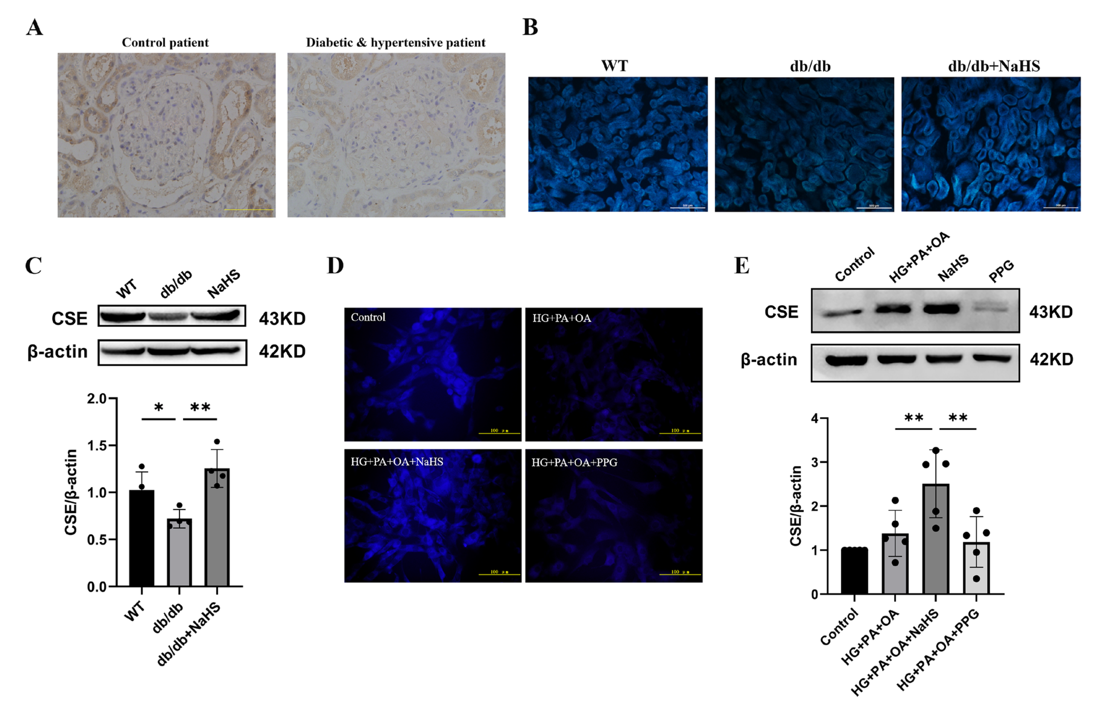 Ijms 24 01690 g002 Ijms 24 01690 g002