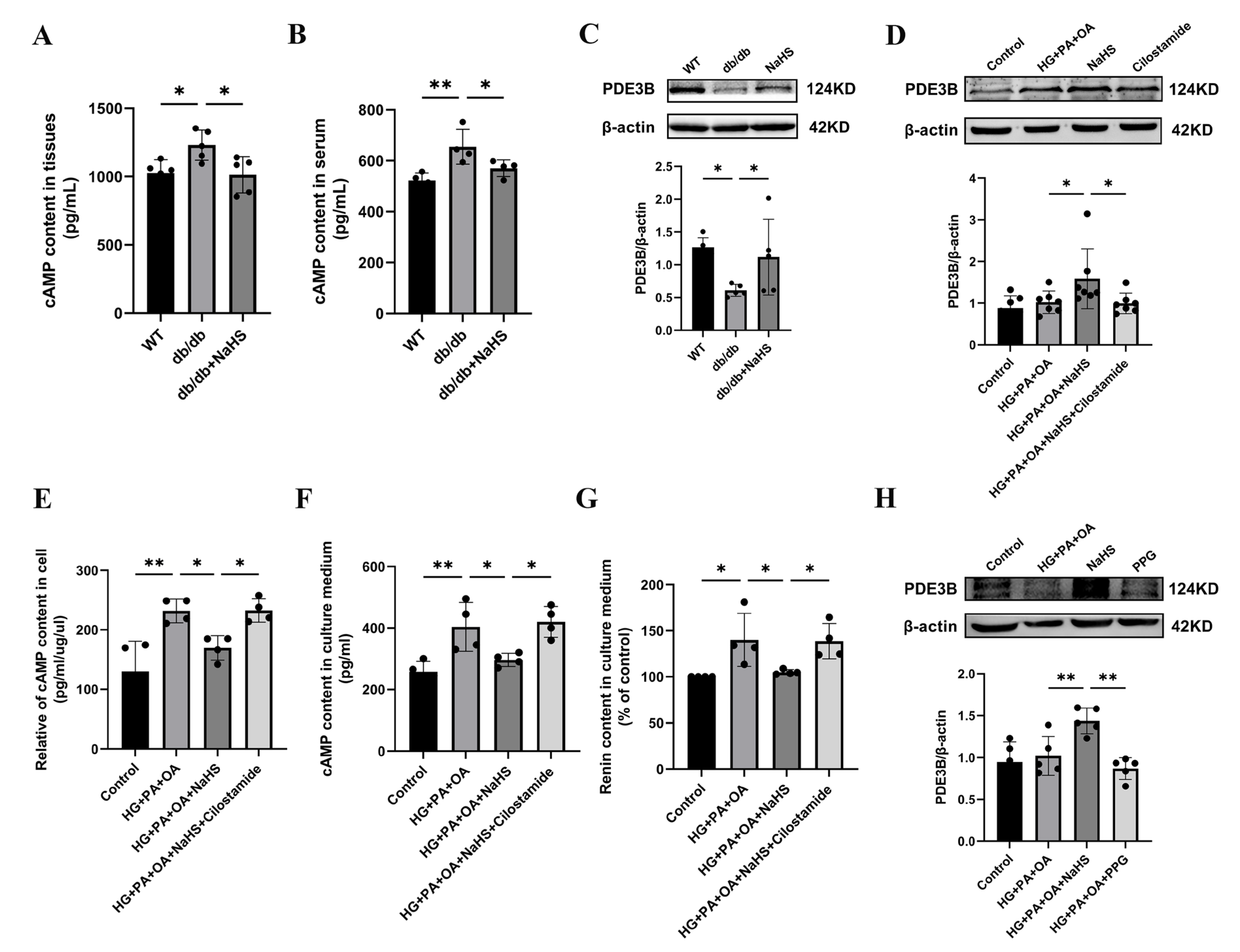 Ijms 24 01690 g004 Ijms 24 01690 g004