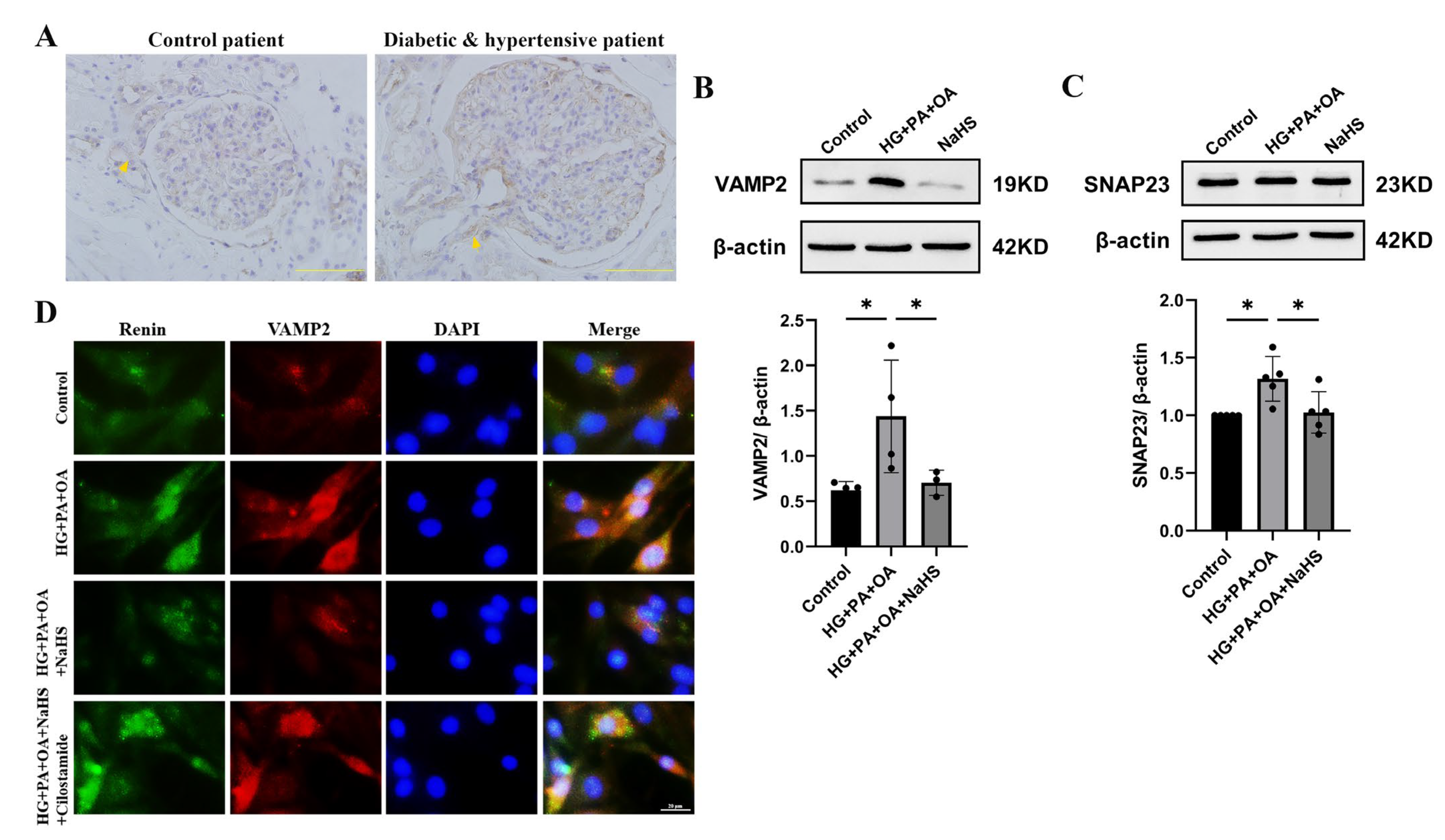 Ijms 24 01690 g005 Ijms 24 01690 g005