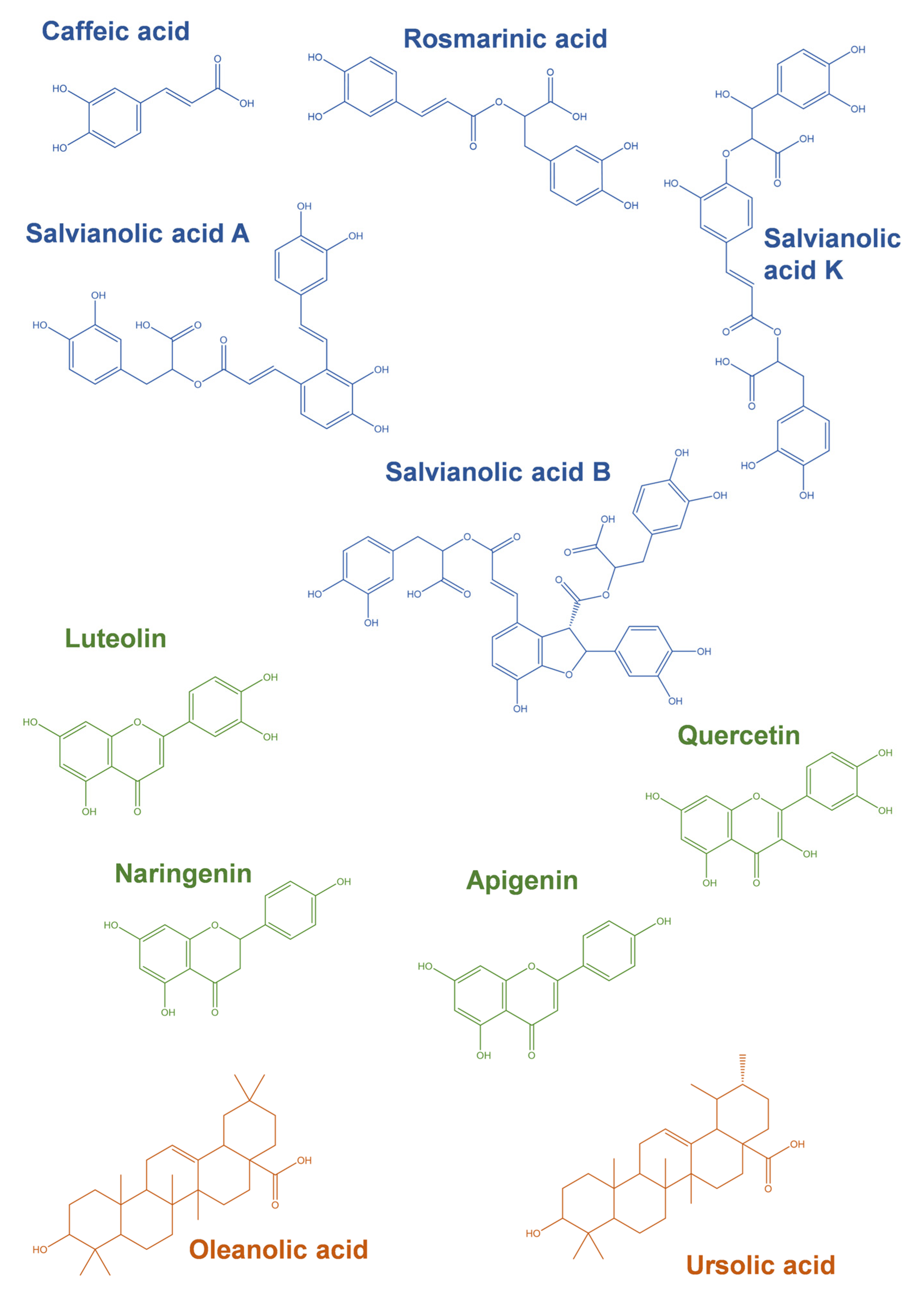 Ijms 24 01691 g004 Ijms 24 01691 g004