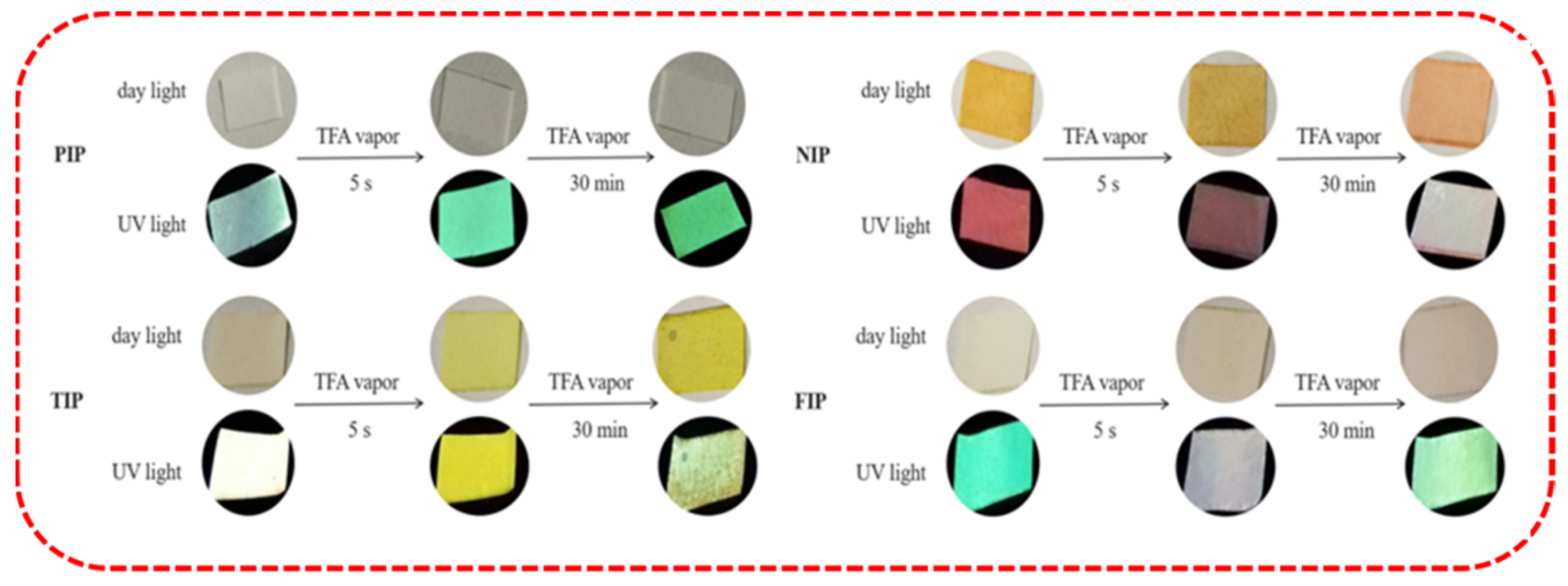 Ijms 24 01711 g012 Ijms 24 01711 g012