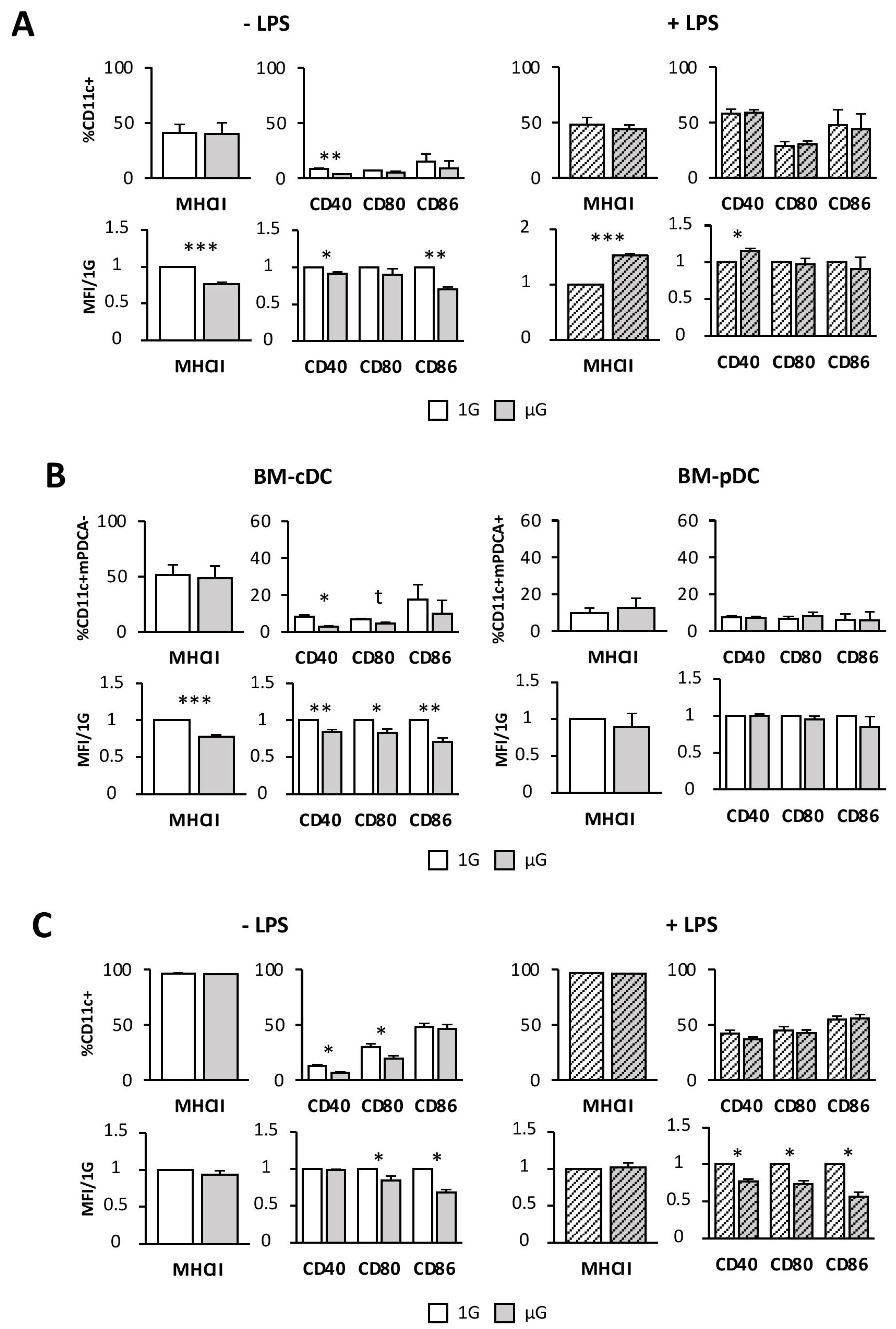 Ijms 24 01720 g002 Ijms 24 01720 g002