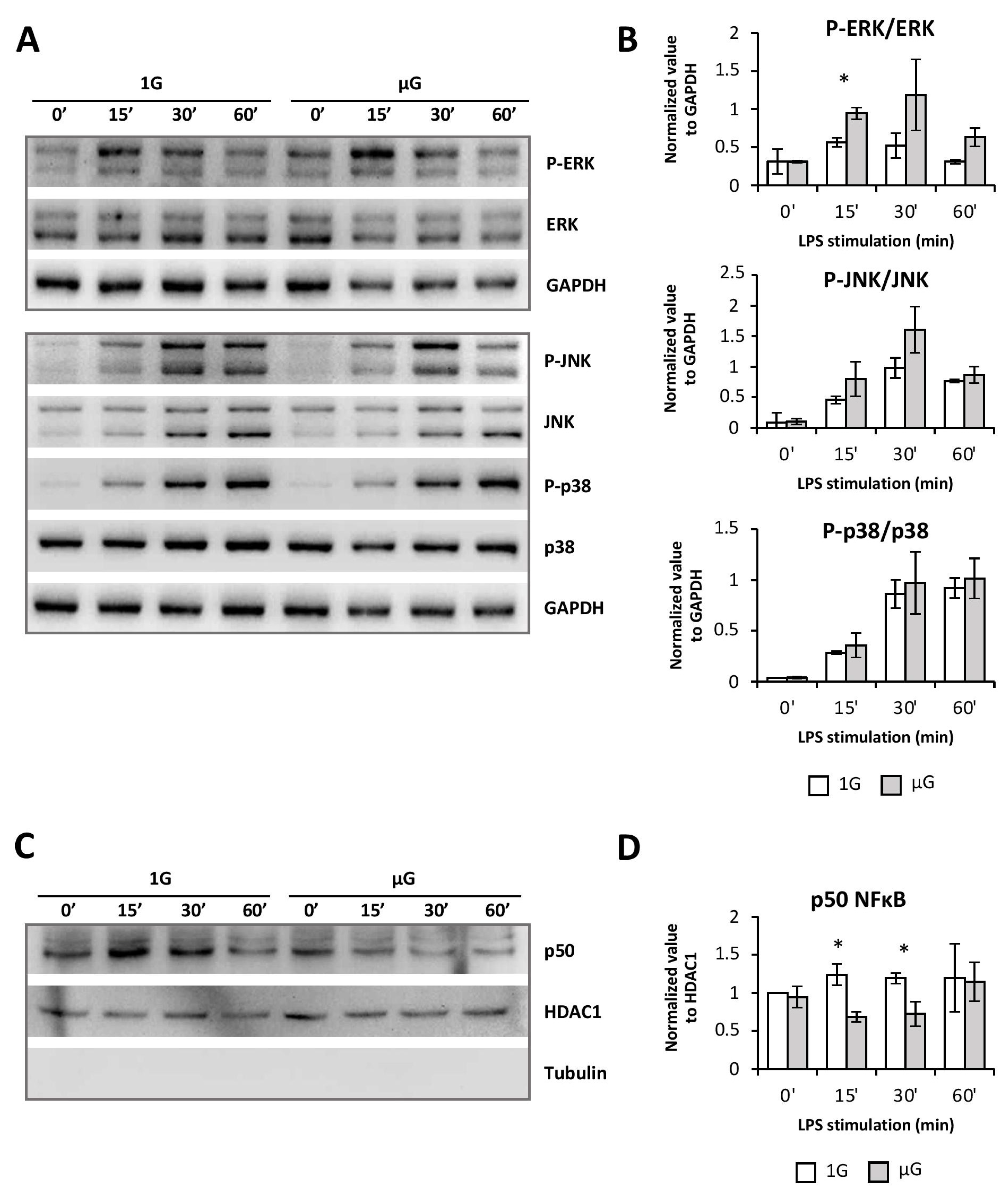 Ijms 24 01720 g004 Ijms 24 01720 g004