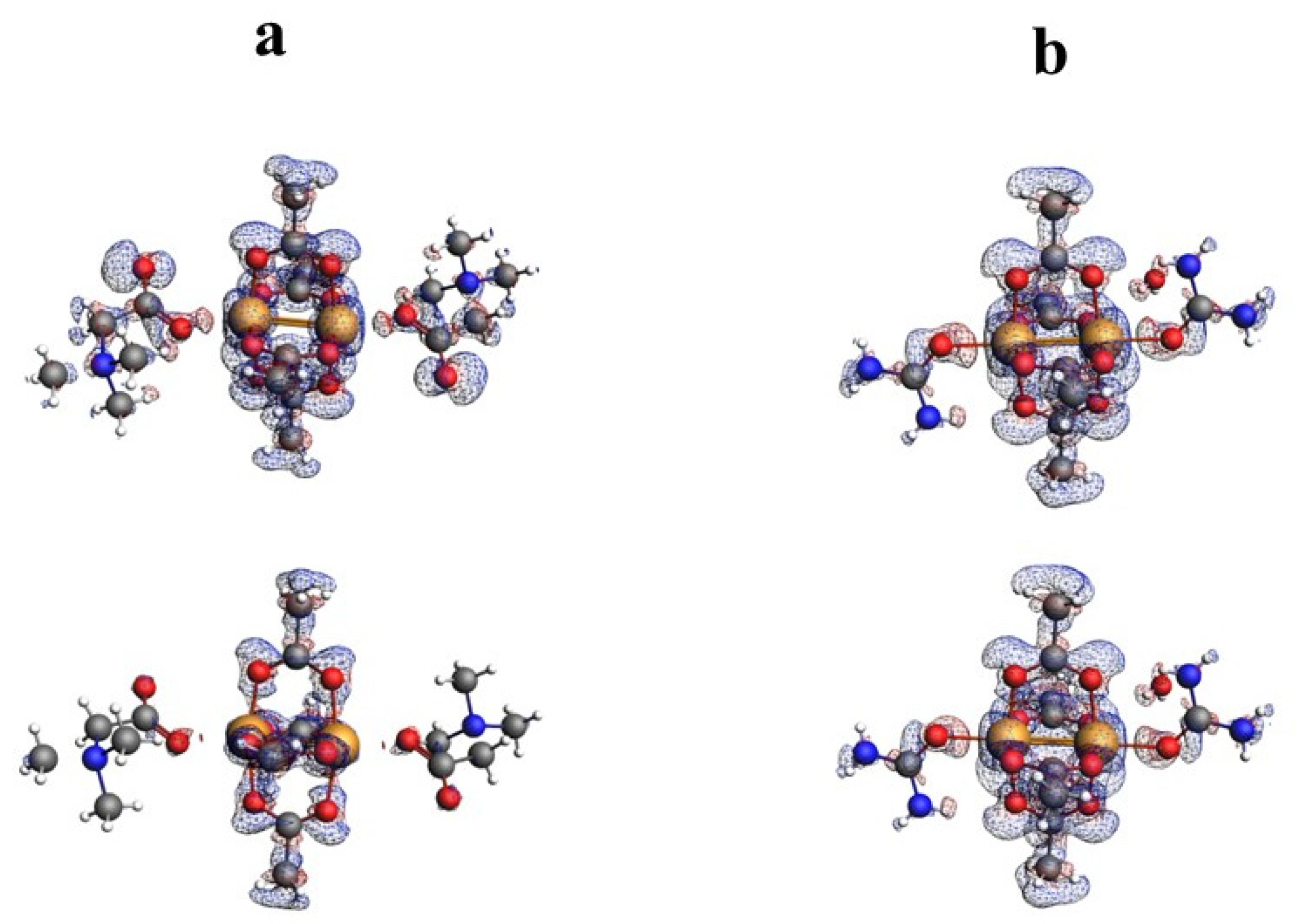Ijms 24 01745 g009 Ijms 24 01745 g009