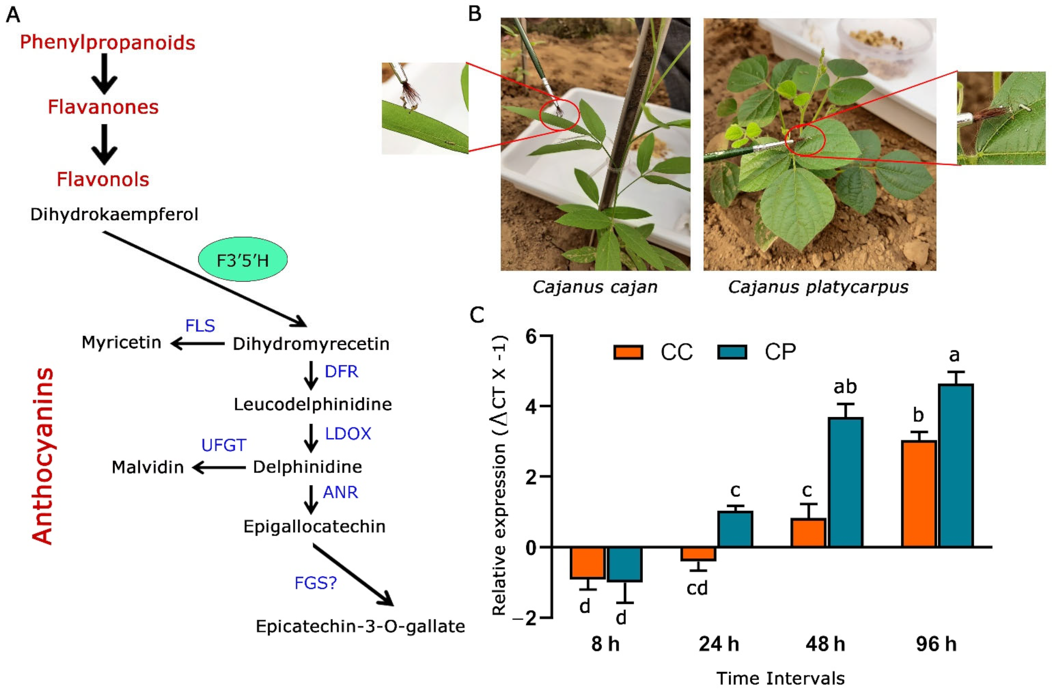Ijms 24 01755 g001 Ijms 24 01755 g001