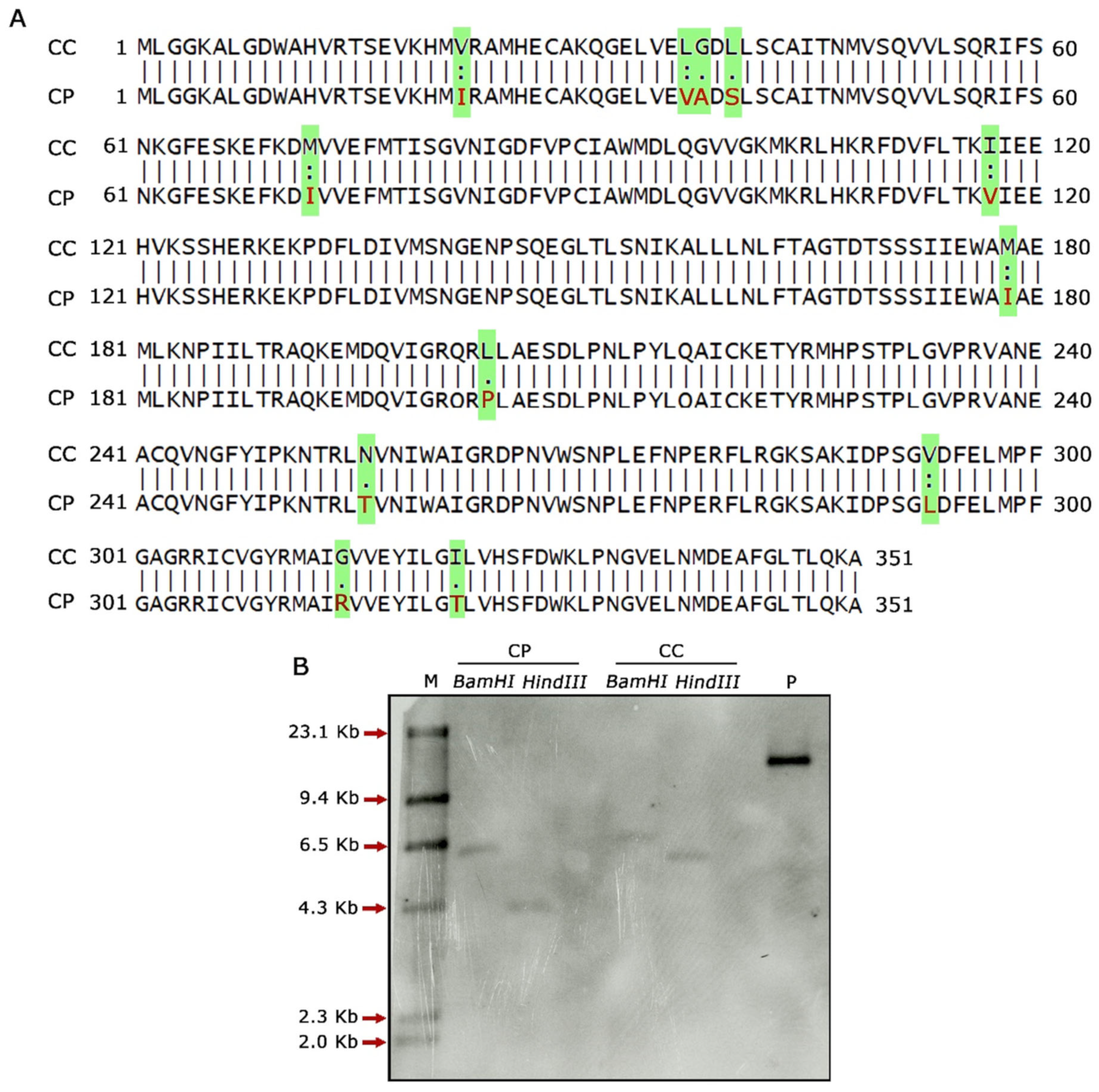 Ijms 24 01755 g002 Ijms 24 01755 g002