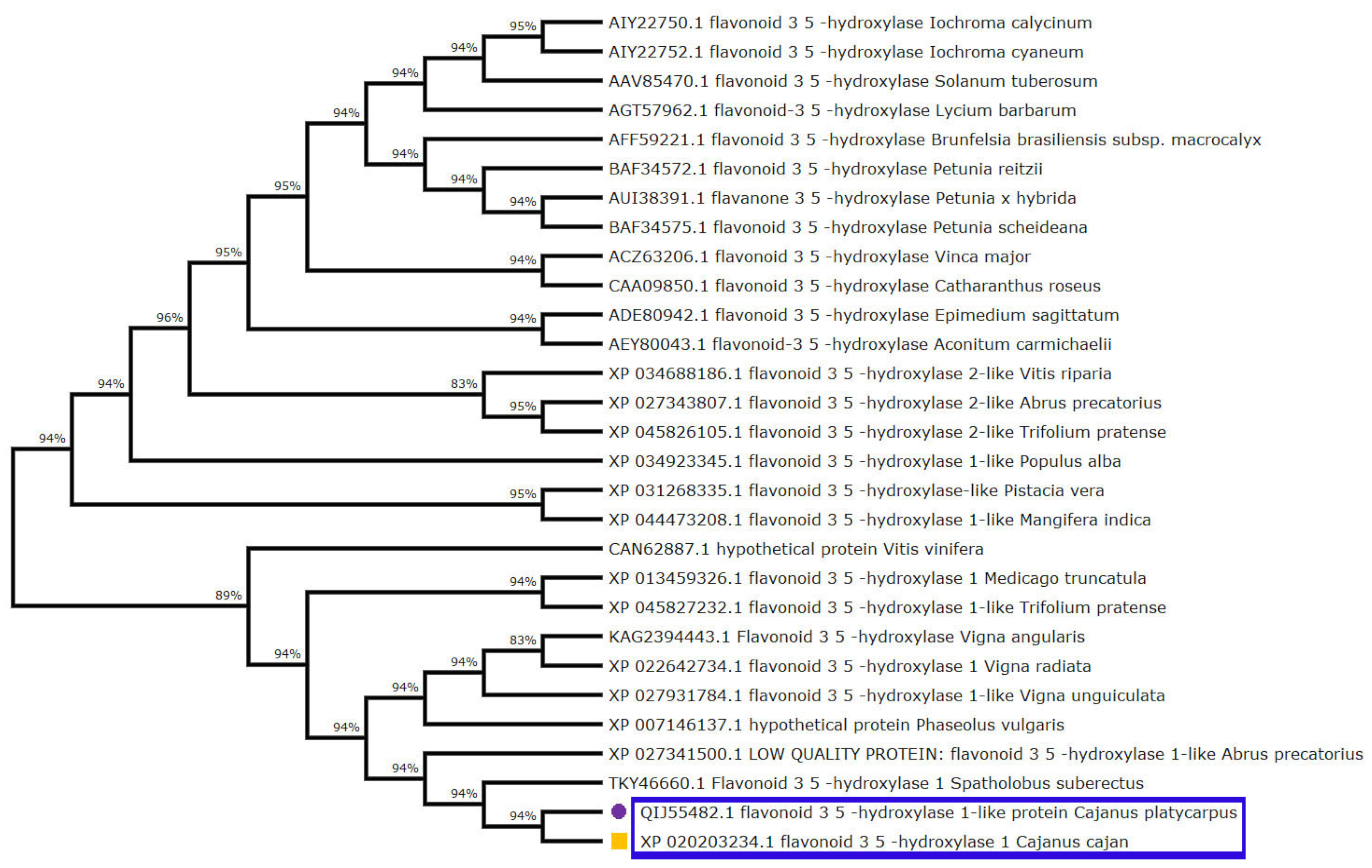 Ijms 24 01755 g003 Ijms 24 01755 g003