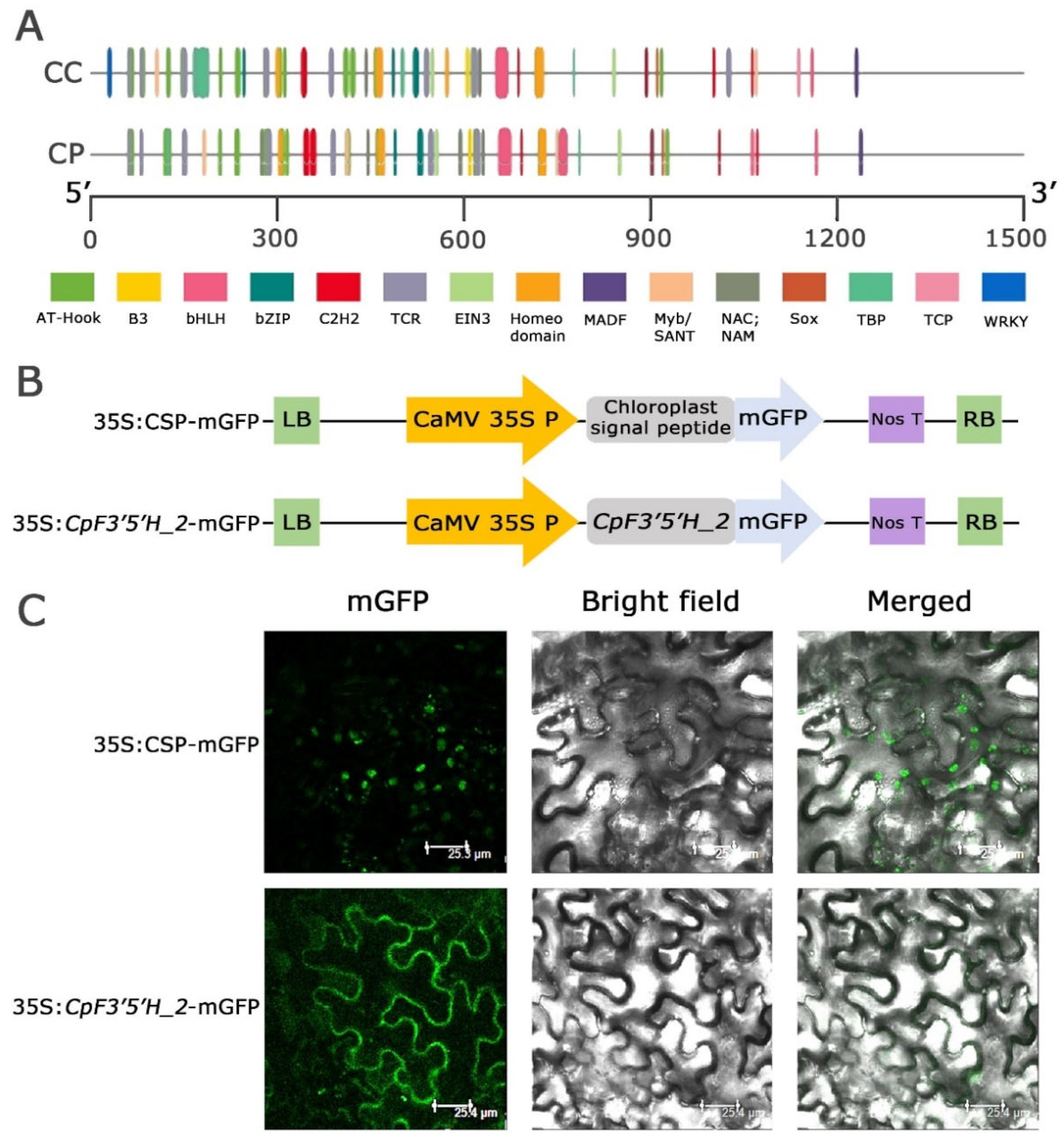 Ijms 24 01755 g004 Ijms 24 01755 g004