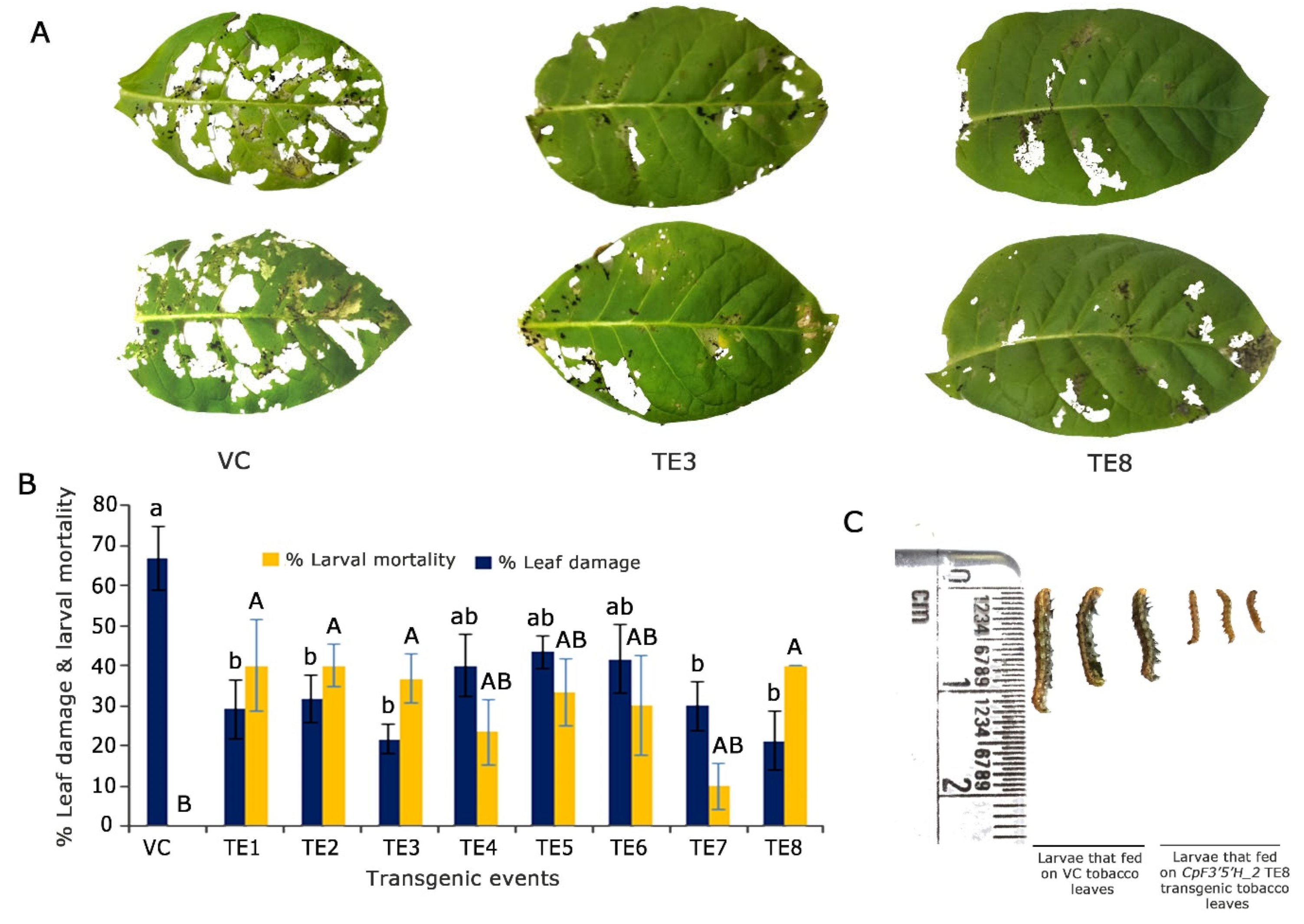 Ijms 24 01755 g005 Ijms 24 01755 g005