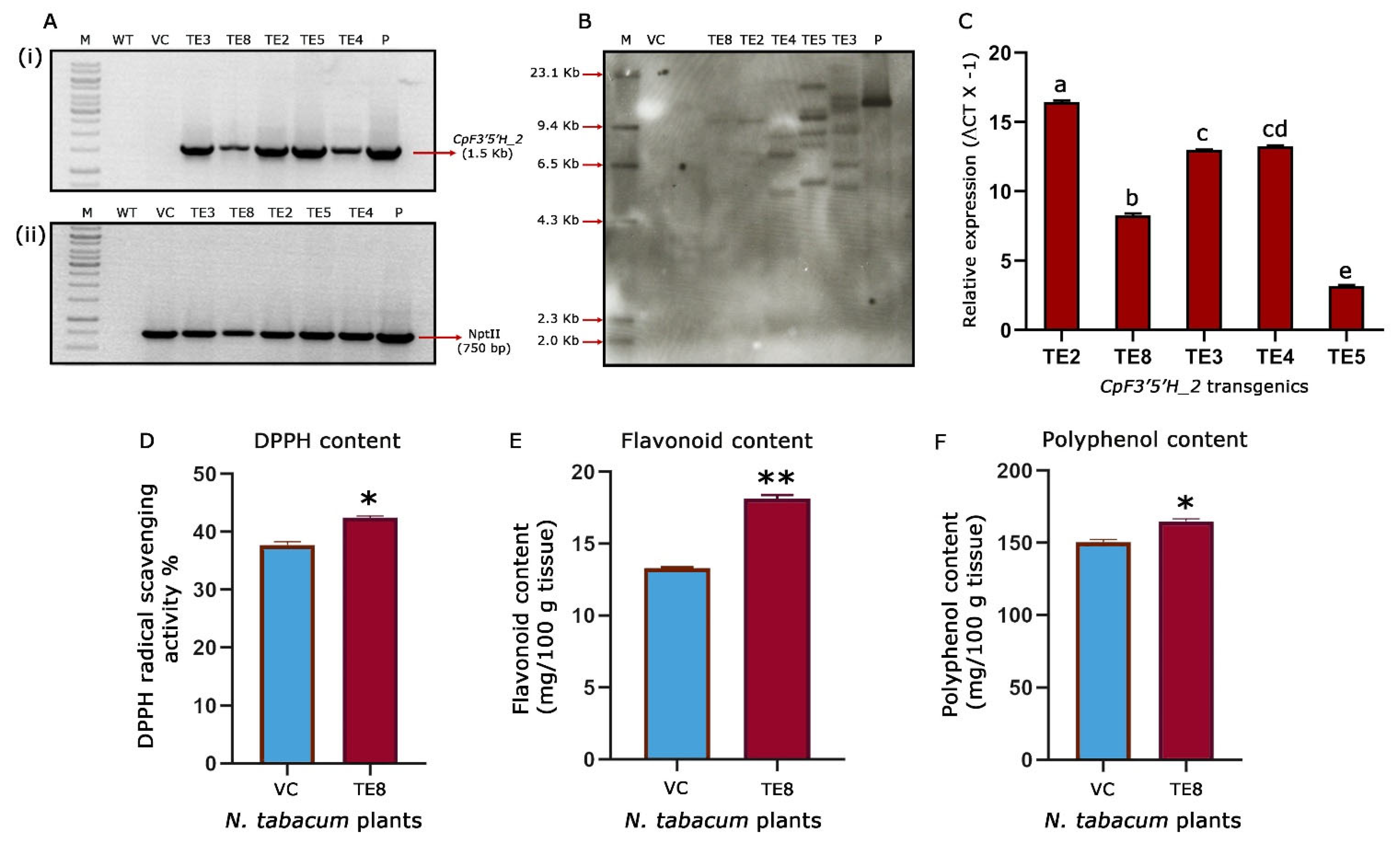 Ijms 24 01755 g006 Ijms 24 01755 g006