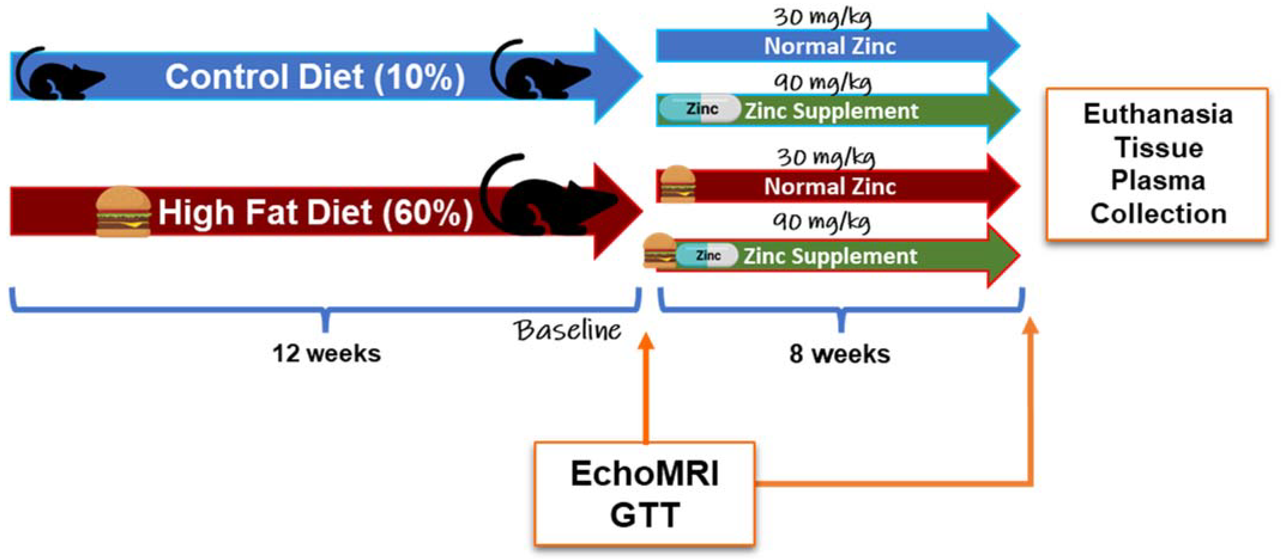 Ijms 24 01763 g001 Ijms 24 01763 g001