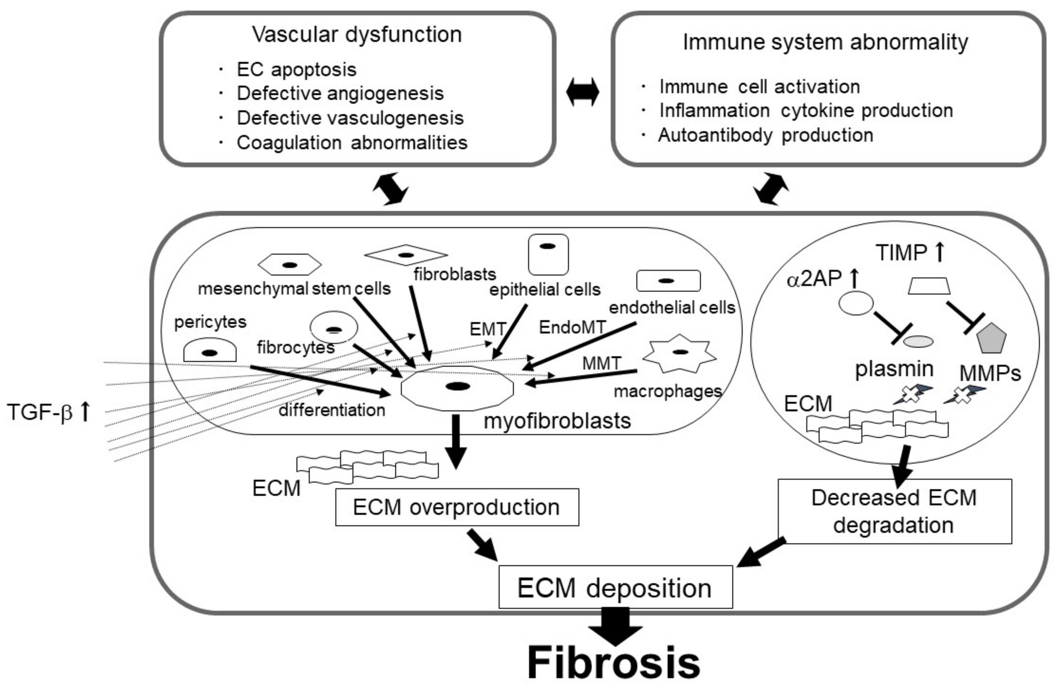 Ijms 24 01796 g001 Ijms 24 01796 g001