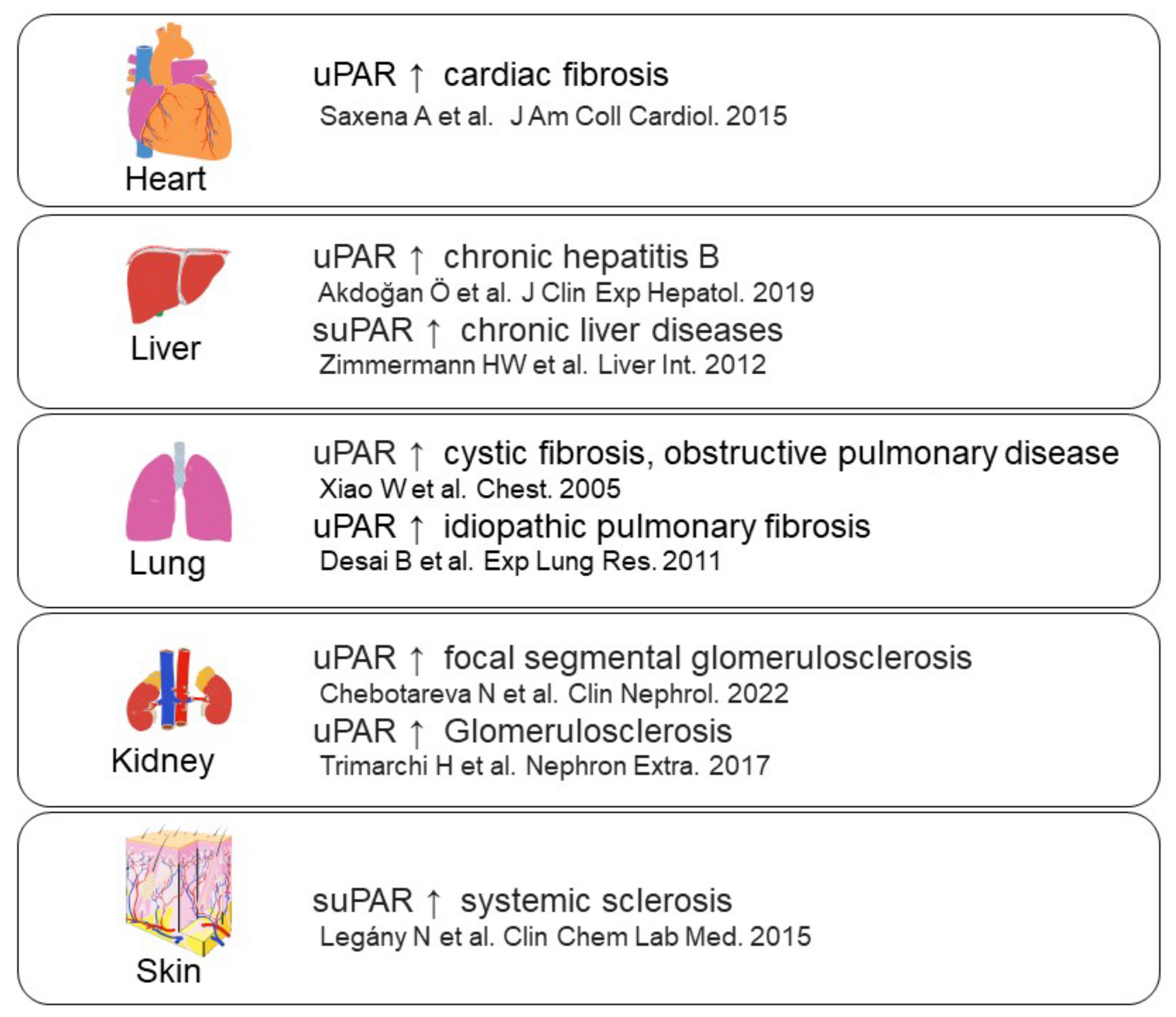 Ijms 24 01796 g005 Ijms 24 01796 g005