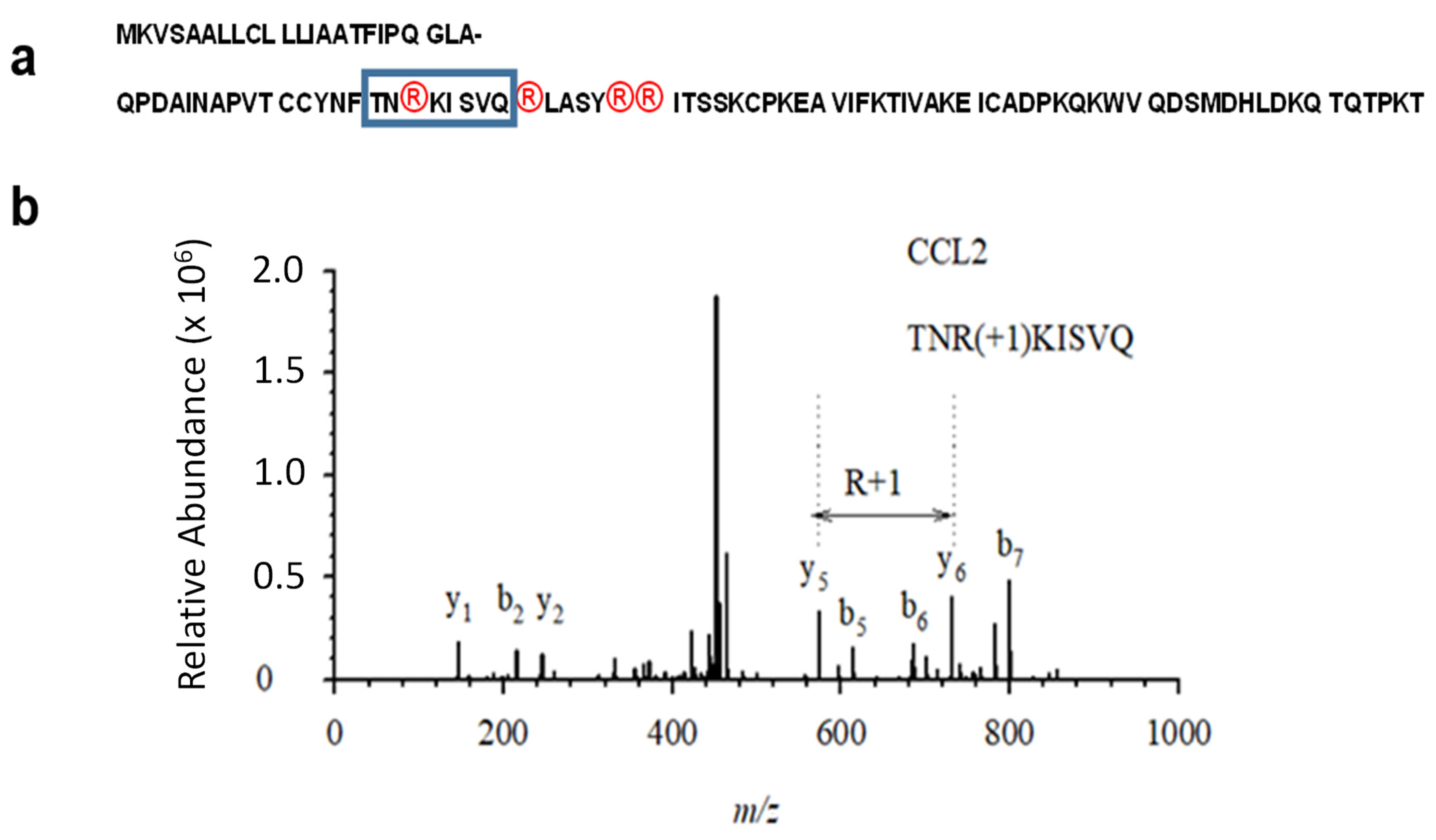 Ijms 24 01862 g002 Ijms 24 01862 g002
