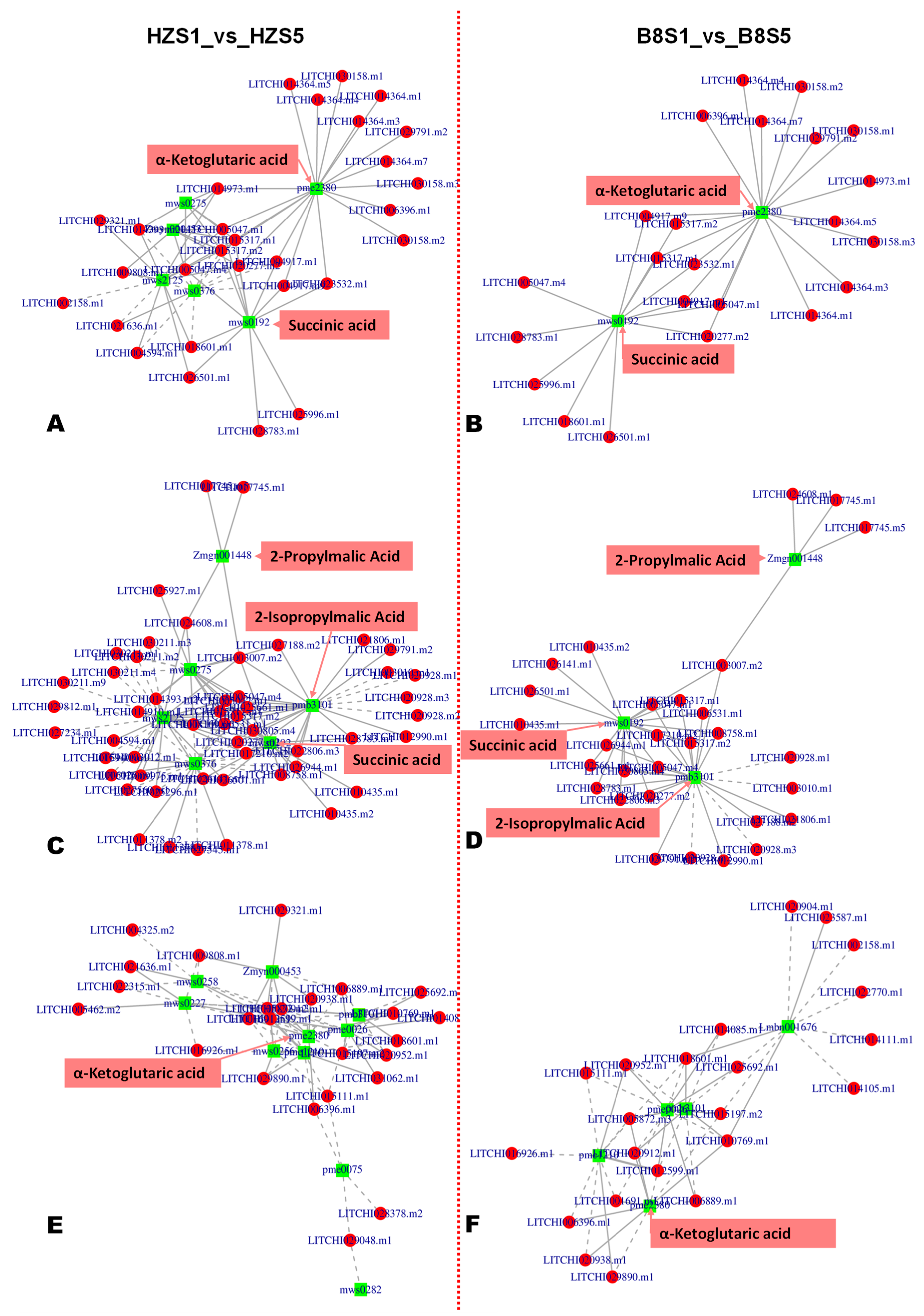 Ijms 24 01871 g006 Ijms 24 01871 g006